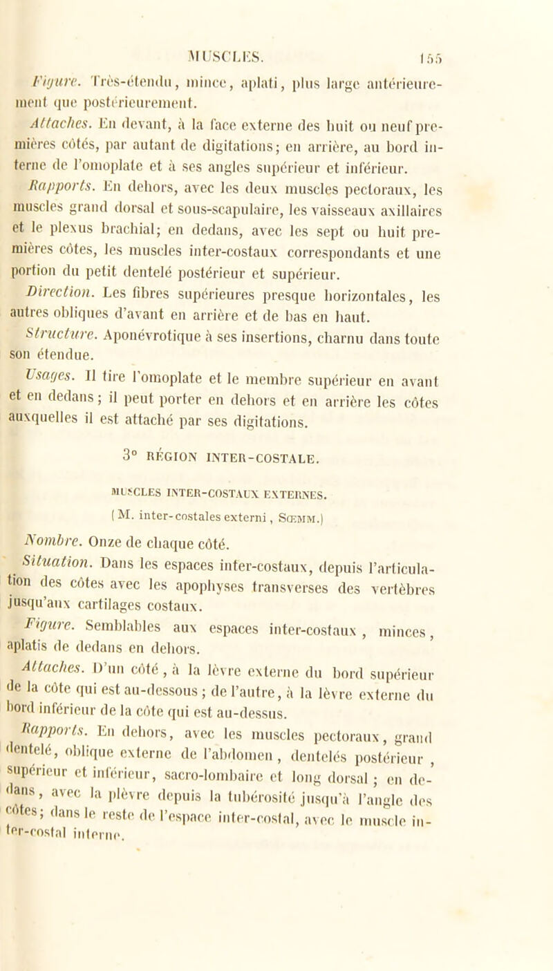 IMUSCMvS. lf,r, Fiijurc. Très-étendii, mince, aplali, plus large aiitérieiiic- iiieiil que posti'ricureiiu'ut. Attaches. En devant, à la face externe des huit ou neuf pre- mières côtes, par autant de digifations; en arrière, au bord in- terne de l'omoplate et à ses angles supérieur et inférieur. Bapports. Eu dehors, avec les deux muscles pectoraux, les muscles grand dorsal et sous-scapulaire, les vaisseaux axillaires et le plexus brachial; en dedans, avec les sept ou huit pre- mières côtes, les muscles inter-costaux correspondants et une portion du petit dentelé postérieur et supérieur. Direction. Les fibres supérieures presque horizontales, les autres obliques d'avant en arrière et de bas en haut. Structure. Aponévrotique à ses insertions, charnu dans toute son étendue. Vsttfjes. Il tire l'omoplate et le membre supérieur en avant et en dedans ; il peut porter en dehors et en arrière les côtes auxquelles il est attaché par ses digitations. 3° RÉGION miER-COSTALE. niLSCLES INTER-COSTALX EXTERNES. (M. inter-cnstalesextemi, Sœmm.) Nombre. Onze de chaque côté. Situation. Dans les espaces inter-costaux, depuis l'articula- tion des côtes avec les apophyses transverses des vertèbres jusqu'aux cartilages costaux. Figure. Semblables aux espaces inter-costaux , minces, aplatis de dedans en dehors. Altaclies. D'un côté , à la lèvre externe du bord supérieur «le la côte qui est au-dessous ; de l'autre, à la lèvre externe du liord inférieur de la côte qui est au-dessus. napports. En dehors, avec les muscles pectoraux, grand •lentelé, oblique externe de l'abdomen, dentelés postérieur , supérieur et inférieur, sacro-londiaire et long dorsal ; en de- dans, avec la jilèvre depuis la Inbcrosilé juscju'à l'angle des f'-Hes; dans le reste de l'espace inter-coslal.'avec le m»l\o j,,- lor-costal inlornc.