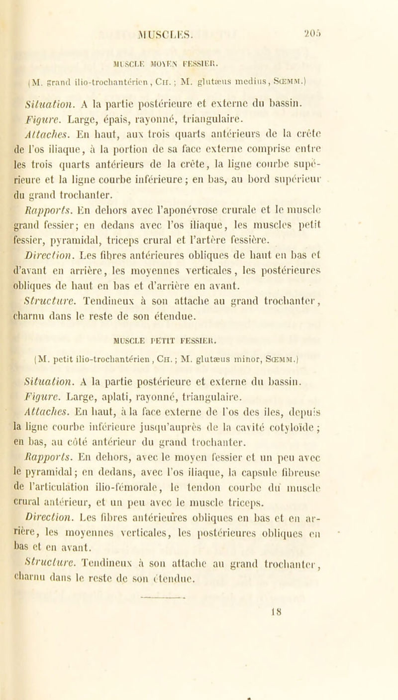 «iisct.r. flioMvN rr.ssii-.r.. (M. Sranil ilio-trocliantéricn , Cir. ; M. ghiUnus metliiis, SlEMM.) SUuatlon. A la partie postérieure et externe du l)assiii. Figure. Large, épais, rayonné, triangulaire. Altaches. Eu haut, au\ trois quarts antérieurs de la crête de l'os iliaque, à la portion de sa l'ace externe comprise entre les trois quarts antérieurs de la crête, la ligne courbe supé- rieure et la ligne courbe inférieure ; en bas, au bord supérieur du grand troclianler. Rapports. En dehors avec l'aponévrose crurale et le muscle grand fessier; en dedans avec l'os iliaque, les muscles petit fessier, pyramidal, triceps crural et l'artère fessière. Direction. Les fibres antérieures obliques de haut en bas et d'avant en arrière, les moyennes verticales, les postérieures obliques de haut en bas et d'arrière en avant. Structure. Tendineux à son attache au grand trocbanter, charnu dans le reste de son étendue. MUSCLE F'ETIT FESSIER. (M. petit ilio-trochantérien , Ch. ; M. gliitœiis iminor, Sœmm.) Situation. A la partie postérieure et externe du bassin. Figure. Large, aplati, rayonné, triangulaire. Attaches. En haut, à la face externe de l'os des iles, depuis la ligne courbe inférieure jusqu'aupi ès de la cavité cotyloïde ; en bas, au coté antérieur du grand tiocbanter. Rapports. Eu dehors, avec le moyen fessier et un pou avec le pyramidal ; en dedans, avec l'os iliaque, la capsule fibreuse de l'articulation ilio-fémorale, le tendon courbe du muscle crural antérieur, et un peu avec le muscle triceps. Direction. Les fibres antérieures obliques en bas cl en ar- rière, les moyennes verticales, les postérieiu-es obliques en bas et en avant. Structure. Tendineux à son attache au grand trocbanter, charnu dans le reste de son étendue. 18