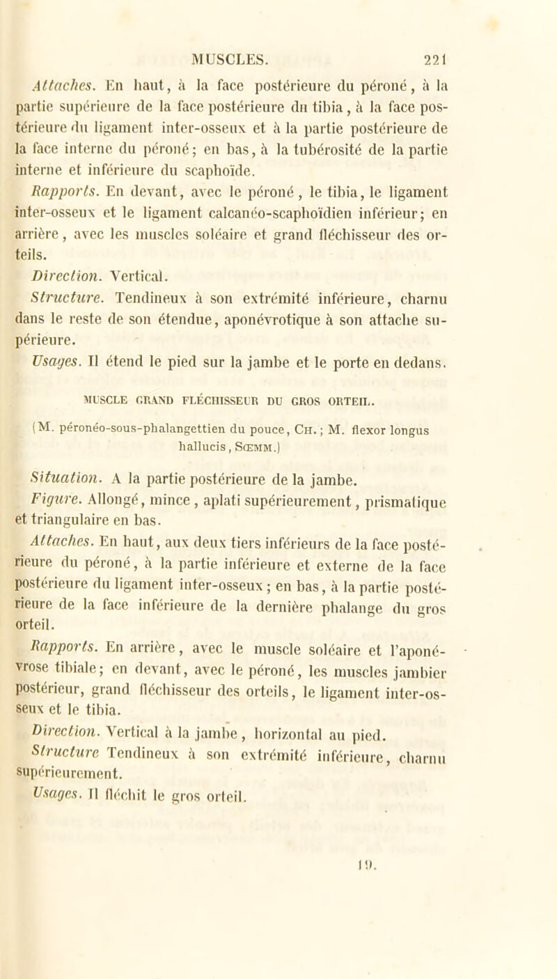 Attaches. En haut, à la face postérieure du péroné, à la partie supérieure de la face postérieure du tibia, à la face pos- térieure du lisameut inter-osseux et à la partie postérieure de la face interne du péroné ; en bas, à la tubérosité de la partie interne et inférieure du scapboïde. Rapports. En devant, avec le péroné , le tibia, le ligament inter-osseux et le ligament calcanéo-scaphoïdien inférieur; en arrière, avec les muscles soléaire et grand fléchisseur des or- teils. Direction. Vertical. Structure. Tendineux à son extrémité inférieure, charnu dans le reste de son étendue, aponévrotique à son attache su- périeure. Usages. Il étend le pied sur la jambe et le porte en dedans. MUSCLE GRAND FLÉCHISSEUR DU GROS ORTEU-. (M. péronéo-sous-phalangettien du pouce, Ch. ; M. flexor longus hallucis, Sœmm.) Situation. A la partie postérieure de la jambe. Figure. Allongé, mince , aplati supérieurement, prismatique et triangulaire en bas. Attaches. En haut, aux deux tiers inférieurs de la face posté- rieure du péroné, à la partie inférieure et externe de la face postérieure du ligament inter-osseux ; en bas, à la partie posté- rieure de la face inférieure de la dernière phalange du gros orteil. Rapports. En arrière, avec le muscle soléaire et l'aponé- vrose tibiale; en devant, avec le péroné, les muscles jambier postérieur, grand fléchisseur des orteils, le ligament inter-os- seux et le tibia. Direction. Vertical à la jambe, horizontal au pied. Structure Tendineux à son extrémité infériem-e, charnu supérieurement. Usages. Il néchit le gros orteil. I!).