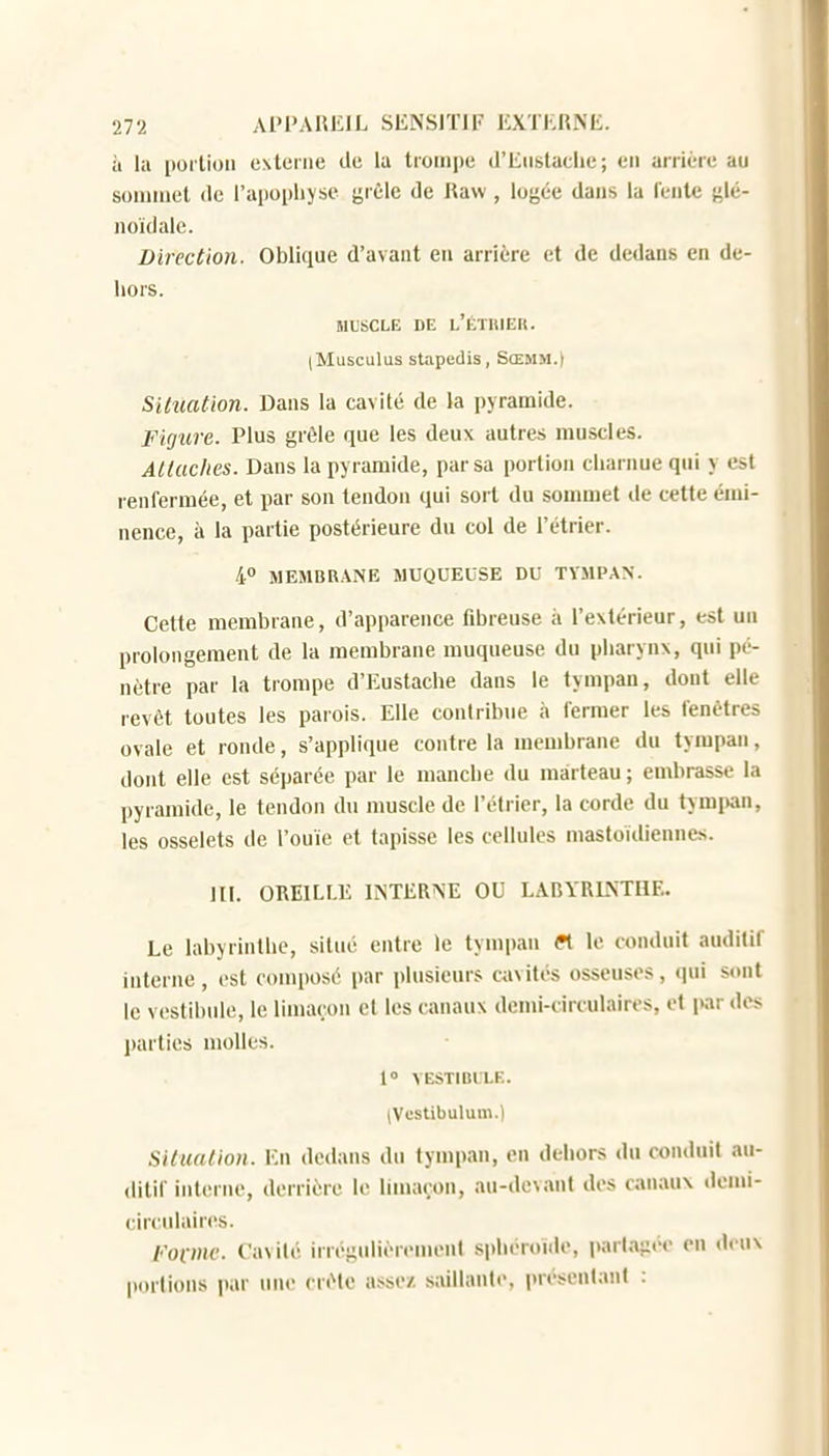 il la [torlion externe de la trompe d'Eiistaclie; en arriére au sonmiet de l'apophyse grfile de Raw, logée dans la fente glé- noïdale. Direction. Oblique d'avant en arrière et de dedans en de- hors. ML'SCLE DE L'ÉTItlEK. (Musculus stapedis, Sœmm.) Situation. Dans la cavité de la pyramide. Figure. Plus grêle que les deux autres muscles. Allucites. Dans la pyramide, par sa portion charnue qui y est renfermée, et par son tendon qui sort du sommet de cette émi- nence, à la partie postérieure du col de l'étrier. 4 MEMBRANE MUQUEUSE DU TYMPAN. Cette membrane, d'apparence fibreuse à l'extérieur, est un prolongement de la membrane muqueuse du pharynx, qui pé- nètre par la trompe d'Eustache dans le tympan, dont elle revêt toutes les parois. Elle contribue à fermer les fenêtres ovale et ronde, s'applique contre la membrane du tympan, dont elle est séparée par le manche du marteau ; embrasse la pyramide, le tendon du muscle de l'étrier, la c«rde du tymjKin, les osselets de l'ouïe et tapisse les cellules mastoïdiennes. m. OREILLE IlSTERNE OU LABYRLNTQE. Le labyrinthe, situé entre le tympan ft le conduit auditif interne, est composé par plusieurs cavités osseuses, cpii sont le vestibule, le limaçon cl les canaux demi-circulaires, et par dos l)arties molles. i» VESTIBULE. (Vcstibulum.) Situation. En dedans du tympan, en dehors du conduit au- ditif interne, derrière le limaçon, au-de\anl des canaux denu- circulaires. l'ovme. Cavité irrégulièrement sphéroïde, partagt>e en d. u\ portions par une crête assez, saillante, présentant :