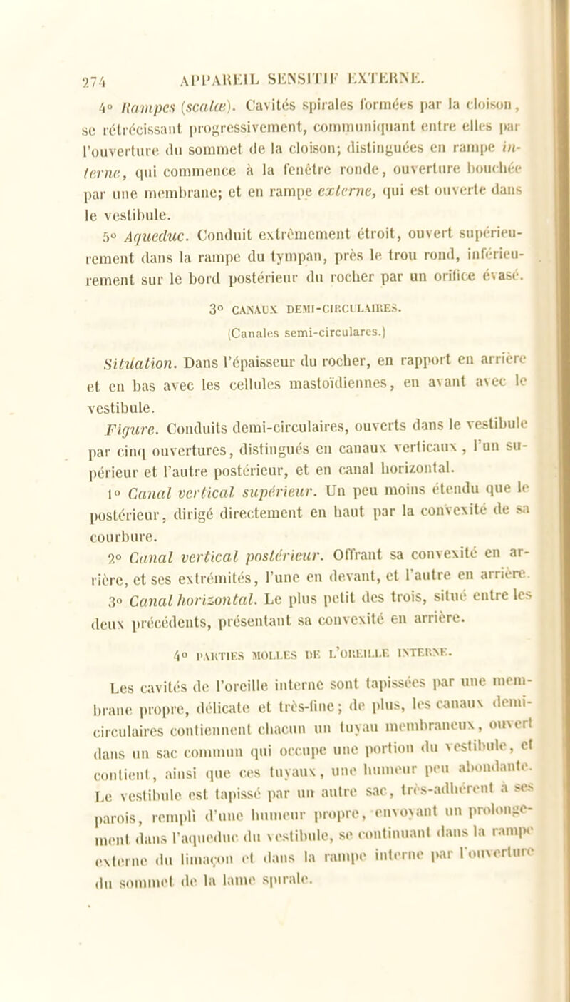 Tik AI'l'AUlilL St^NSITIK KXTERNi:. 4° Rampeu {scalœ). Cavités spirales l'ormées par la cloison, se riUrécissaiit iiroj^ressivement, coii)miiiii(|uaiit entre elles par rouverlure du soainiet de la cloison; distinguées en rampe itt- tcrne., qui commence à la fenêtre ronde, ouverture liouchée pai' une membrane; et en rampe externe, qui est ouverte dans le vestibule. 5 Aqueduc. Conduit extrêmement étroit, ouvert supérieu- rement dans la rampe du tympan, près le trou rond, inférieu- rement sur le bord postérieur du rocher par un orilice évasé. 3° CANAUX DEMI-CIIîCLLAlIŒS. (Canales semi-circulares.) SiMation. Dans l'épaisseur du rocber, en rapport en arrière et en bas avec les cellules mastoïdiennes, en avant avec le vestibule. Figure. Conduits demi-circulaires, ouverts dans le vestibule par cinq ouvertures, distingués en canaux verticaux , l'un su- périeur et l'autre postérieur, et en canal horizontal. lo Canal vertical supérieur. Un peu moins étendu que le postérieur, dirigé directement en haut par la convexité de sa courbure. 2° Canal vertical postérieur. Offrant sa convexité en ar- rière, et ses extrémités, l'une en devant, et l'autre en arrière 30 Ca7ial horizontal. Le plus petit des trois, situé entre les deux précédents, présentant sa convexité en arrière. 40 P.MtTlES MOI.I.US l)E 1,'OUEU.l.F. INTEnXE. Les cavités de l'oreille interne sont tapissées par une mem- brane propre, délicate et très-line; de plus, les canaux demi- circulaires contiennent chacun un tuyau membraneux, ouvert dans un sac comuum qui occupe une portion du vestibule, cl contient, ainsi (pie ces tuyaux, une hmneur peu abondante. Le veslibule est tapissé par m» autre sac, Irès-adherent a se-s parois, rempli d'une humeur propre, envoyant un prolonge- ment dans l'aqiu'.luc du vestibule, se conlinuani dans la ram|H> cxlerne du limaçon el dans la rampe interne par r..uverlure du sounuet de la lame spirale.