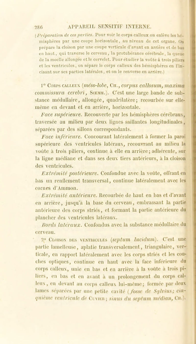 I Priiparalinn de ces parties. Pour voir le corps calleux on enlève les hé- misphères par une coupe horizontale, au niveau de cet organe. On prépare la cloison par une coupe verticale d'avant en arrière et de ba« en haut, qui traverse le cerveau, la protubérance cérébrale, la queue de la moelle allongée et le cervelet. Pour étudier la voûte à trois piliert et les ventricules, on sépare le corps calleux des hémisphères en l'in- cisant sur ses parties latérales, et on le renverse en arrière.) 1° Corps calleux {méso-lobe, Ch., corpus callosum, maxima commissura cerebri, Soemm.). C'est une large bande de sub- stance médullaire, allongée, quadrilatère; recourbée sur elle- même en devant et en arrière, horizontale. Face supérieure. Recouverte par les hémisphères cérébraux, traversée au milieu par deux lignes saillantes longitudinales, séparées par des sillons correspondants. Face inférieure. Concourant latéralement à former la paroi supérieure des ventricules latéraux, recouvTant au milieu la voûte à trois piliers, continue à elle en arrière; adhérente, sur la ligne médiane et dans ses deux tiers antérieurs, à la cloison des ventricules. Exlrémilé postérieure. Confondue avec la voûte, offrant en bas un renflement transversal, continue latéralement avec les cornes d'Ammon. Extrémité antérieure. Recourbée de haut en bas et d'avant en arrière, jusqu'à la base du cerveau, embrassant la partie antérieure des corps striés, et formant la partie antérieure du plancher des ventricules latéraux. Bords latéraux. Confondus avec la substance médullaire du cerveau. 2° Cloison ni;s ventuiclles (scplum lucidum). C'est une partie lamelleuse, aplatie transversalement, triangulaire, ver- ticale, en rapport latéralement avec les corps striés et les cou- ches opti(]ues, continue en haut avec la face inférieure do corps calleux, unie en bas et en arrière à la voùtc à trois pi- liers, en lias et en avant à un prolongement du corjis cal- leux, eu dcrvant au coips calleu\ lui-mén»e; fornu'c par deux lames séparées par une petite v.w 'ito {/imr de Si/h itis; ciit- qnii>me vcnlhcule de Civucii; sintis du .leplum médian, Ch.).