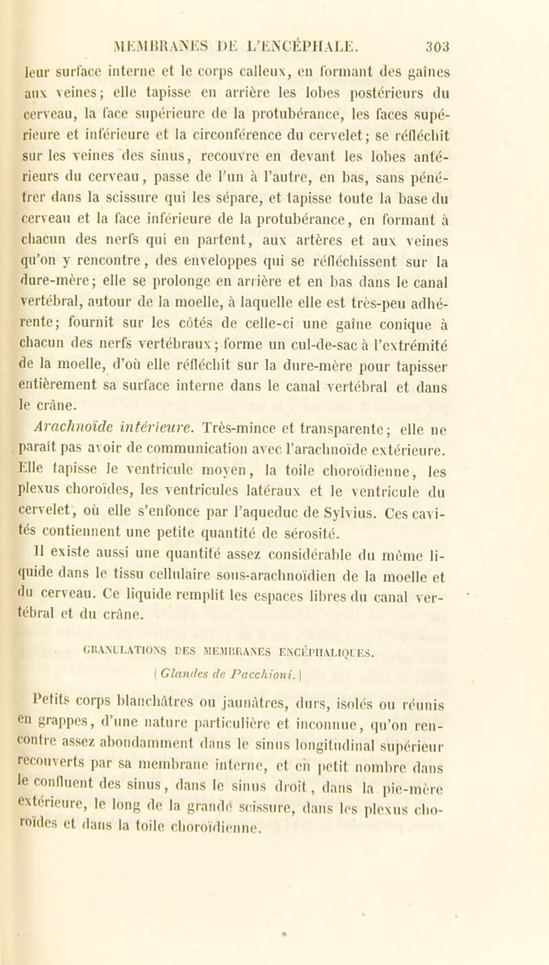 leur surface iiiterue et le corps calleux, en t'ormant des gaines aux. veines; elle tapisse en arrière les lobes postérieurs du cerveau, la l'ace supérieure de la protubérance, les faces supé- rieure et inférieure et la circonférence du cervelet; se réflécliit sur les veines des sinus, recouvre en devant les lobes anté- rieurs du cerveau, passe de l'un à l'autre, en bas, sans péné- trer dans la scissure qui les sépare, et tapisse toute la base du cerveau et la face inférieure de la protubérance, en formant à chacun des nerfs qui en partent, aux artères et aux veines qu'on y rencontre, des enveloppes qui se réfléchissent sur la dure-mère; elle se prolonge en arrière et en bas dans le canal vertébral, autour de la moelle, à laquelle elle est très-peu adhé- rente; fournit sur les cotés de celle-ci une gaine conique à chacun des nerfs vertébraux ; forme un cul-de-sac à l'extrémité de la moelle, d'où elle réfléchit sur la dure-mère pour tapisser entièrement sa surface interne dans le canal vertébral et dans le crâne. Arachnoïde intérieure. Très-mince et transparente ; elle ne parait pas avoir de communication avec l'arachnoïde extérieure. Elle tapisse le ventricule moyen, la toile choroïdienne, les plexus choroïdes, les ventricules latéraux et le ventricule du cervelet, où elle s'enfouce par l'aqueduc de Sylvius. Ces cavi- tés contiennent une petite quantité de sérosité. Il existe aussi une quantité assez considérable du même li- quide dans le tissu cellulaire sous-arachnoïdien de la moelle et du cerveau. Ce liquide remplit les espaces libres du canal ver- tébral et du crâne. (JllAMLATIONS DES MEMBRANES EiXCÉI'nALIOlES. ( Glandes de Pacchioni. ) Petits corps blanchâtres ou jaunâtres, durs, isolés ou réunis en grappes, d'une nature particulière et inconnue, qu'on ren- contre assez abondamment dans le sinus longitudinal supérieur recouverts par sa membrane interne, et eii petit nombre dans le confluent des sinus, dans le sinus droit, dans la pie-mère extérieure, le long de la grande scissure, dans les plexus cho- roïdes et dans la toile choroïdienne.