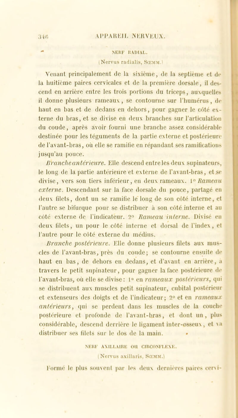 .)/,(•, AIM'AUKII. MCKVKUX. NEUF r.AOIAL. (Nervus radialis, Sœmm.i Venant principalement de la sixième, de la septième et de la huitième paires cervicales et de la première dorsale, il des- cend en arrière entre les trois portions du triceps, ausquelles il donne plusieurs rameaux, se contourne sur l'humérus, df haut en bas et de dedans en dehors, pour gagner le ci)té ex- terne du bras, et se divise en deux branches sur l'articulation du coude, après avoir fourni une branche assez considérable destinée pour les téguments de la partie externe et postérieure de l'avant-bras, où elle se ramilie eu répandant ses ramiGcations jusqu'au pouce. Brancheantérieure. Elle descend entre les deux supinateurs, le long de la partie antérieure et externe de l'avant-bras, et se divise, vers son tiers inférieur, en deux rame-aux. 1 Rameau externe. Descendant sur la face dorsale du pouce, partagé en deux fdets, dont un se ramifie le long de son coté interne, et l'autre se bifurque pour se distribuer à son côté interne et au côté externe de l'indicateur. 2° Rameau interne. Divisé en deux fdets, un pour le côté interne et dorsal de l'index, et l'autre pour le côté externe du médius. Branche postérieure. Elle donne plusieurs filets aux mus- cles de l'avant-bras, près du coude; se contourne ensuite de haut en bas, de dehors en dedans, et d'avant eu arrière, a travers le petit snpinateur, pour gagner la face postérieure de l'avant-bras, où elle se divise : 1° en rameaux postérieurs, qui se distribuent aux muscles petit supinateur, cubital postérieur et extenseurs des doigts et de l'indicateur; 2 et en ramcaujc antérieurs, (pii se perdent dans les muscles de la couchf postérieure et profonde de l'avant-bras, et dont un, plu> considérable, descend derrière le ligament inter-osseux, et va distribuer ses filets sur le dos de la main. NF.UK AXn.l..\U<K ou CniCONTI.KXK. I Nervus nxillaris, StEMM.) l'ormé le plus souvent par les deux dernière.*; |vures cer^i-