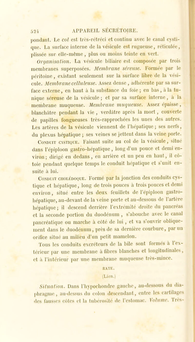 Iiondanl. Le col est tr('S-rétréci et continu avec le canal cysli- que. La surface interne de la vésicule est rugueuse, réticulée, plissée sur elle-même , plus ou moins teinte en vert. Organisation. La vésicule biliaire est composée par trois membranes superposées. Membrane séreuse. Formée par le péritoine, existant seulement sur la surface libre de la vési- cule. Membrane celluleuse. Assez dense , adhérente par sa sur- face externe, en haut à la substance du l'oie ; en bas, à la tu- nique séreuse de la vésicule ; et par sa surface interne, à la membrane muqueuse. Membrane muqueuse. Assez épaisse, blanchâtre pendant la vie , verdàtre après la mort, couverte de papilles fongueuses très-rapprochées les unes des autres. Les artères de la vésicule viennent de l'hépatique; ses nerfs, du plexus hépatique ; ses veines se jettent dans la veine porte. Conduit cvstique. Faisant suite au col de la vésicule, situé dans l'épiploon gastro-hépatique , long d'un pouce et demi en- viron; dirigé en dedans, en arrière et un peu en haut, il cô- toie pendant quelque temps le conduit hépatique et s'unit en- suite à lui. Conduit cuolédoque. Formé par la jonction des conduits cys- tique et hépatique, long de trois pouces à trois pouces et demi environ, situé entre les deux feuillets de l'épiploon gastro- hépatique, au-devant de la veine porte et au-dessous de l'artère hépatique ; il descend derrière l'extrémité droite du pancréas et la seconde portion du duodénum , s'abouche avec le canal pancréatique ou marche à côté de lui, et va s'ouvrir oblique- ment dans le duodénum, près de sa dernière courbure, iwun orifice situé au milieu d'un petit mamelon. Tous les conduits excréteurs de la bile sont formés à l'ex- térieur par une membrane îi fibres blanches et longitudinales, et il l'intérieur par une membrane nuiqueuse très-mince. nATK. (Lien.) Situation. Dans Ihypocboudre gauche, au-<lossous du dia- phragme, au-dessus du colon descendant, entre les cartilages des fausses cotes cl la lubérosité de l'estomac. Volume. Très-