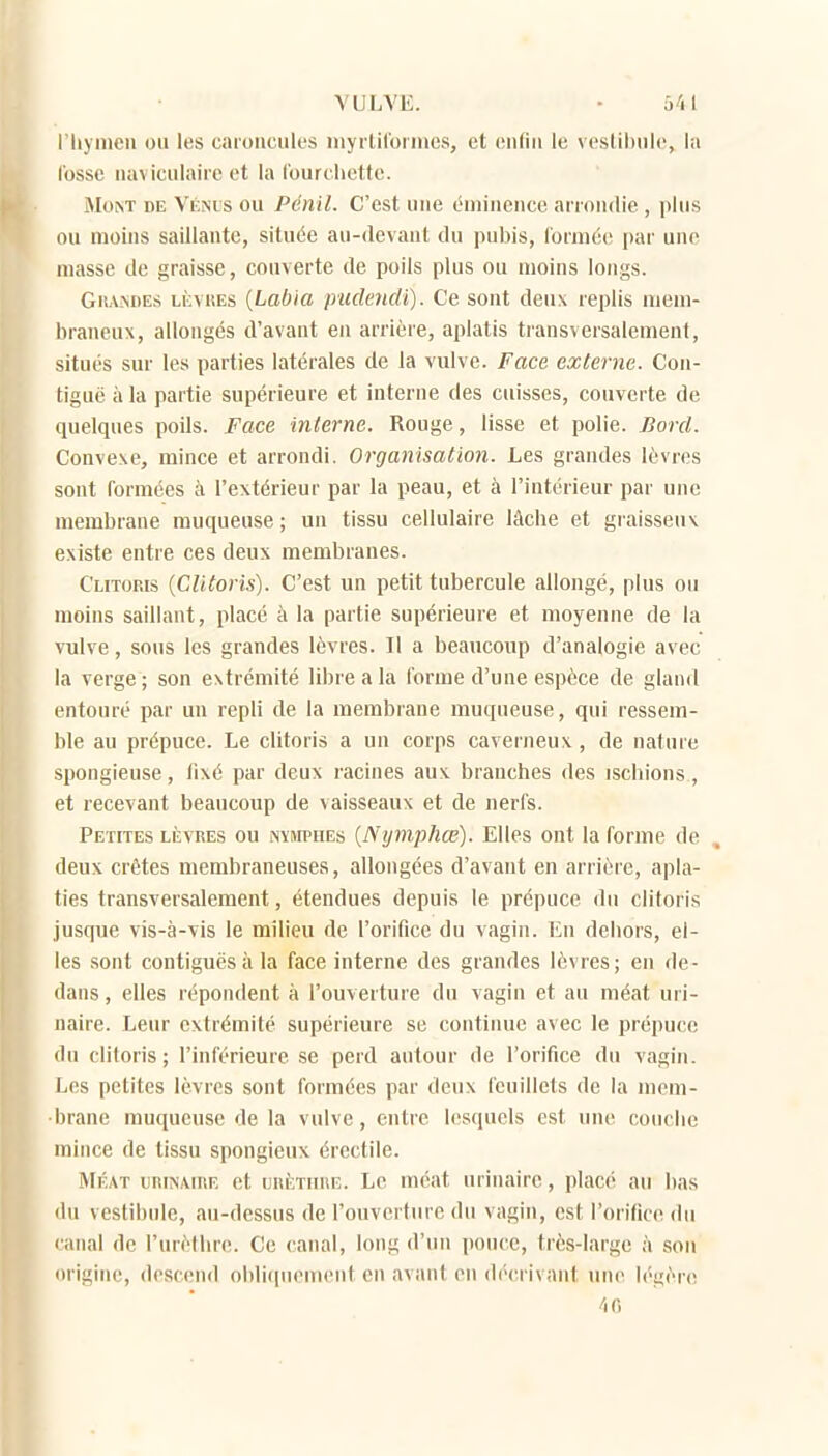 VULVE. • ail riiyiiien ou les caroncules myrlirornics, et eiiHii le vestihiilc, la fosse iiavicuiaire et la fourchette. MoCT DE Vénus ou Pénil. C'est une éminence arrondie, plus ou moins saillante, située au-devant du pubis, formée par une niasse de graisse, couverte de poils plus ou moins longs. GiUNDEs LÈviiEs [Labitt imdendi). Ce sont deux replis mem- braneux, allongés d'avant en arrière, aplatis transversalement, situés sur les parties latérales de la vulve. Face externe. Con- tiguë à la partie supérieure et interne des caisses, couverte de quelques poils. Face interne. Rouge, lisse et polie. Bord. Convexe, mince et arrondi. Organisation. Les grandes lèvres sont formées à l'extérieur par la peau, et à l'intérieur par une membrane muqueuse ; un tissu cellulaire lâche et graisseux existe entre ces deux membranes. Clitoris {Clitoris). C'est un petit tubercule allongé, plus ou moins saillant, placé à la partie supérieure et moyenne de la vulve, sous les grandes lèvres. Il a beaucoup d'analogie avec la verge; son extrémité libre a la forme d'une espèce de gland entouré par un repli de la membrane muqueuse, qui ressem- ble au prépuce. Le clitoris a un corps caverneux, de nature spongieuse, tixé par deux racines aux branches des ischions, et recevant beaucoup de vaisseaux et de nerfs. Petites tiîVRES ou nvsipues {Nijmphœ). Elles ont la forme de deux crêtes membraneuses, allongées d'avant en arrière, apla- ties transversalement, étendues depuis le prépuce du clitoris jusque vis-à-vis le milieu de l'orifice du vagin, lin dehors, el- les sont contiguësà la face interne des grandes lèvres; eu de- dans , elles répondent à l'ouverture du vagin et au méat uri- naire. Leur extrémité supérieure se continue avec le prépuce du clitoris; l'inférieure se perd autour de l'orifice du vagin. Les petites lèvres sont formées par deux feuillets de la mem- brane muqueuse de la vulve, entre lesquels est une couche mince de tissu spongieux érectile. MÉAT uRiiSAiTiE ct iJitiiTiuiE. Lc méat uriuaire, placé au bas du vestibule, au-dessus de l'ouverture du vagin, est l'orifice du canal de l'urètbre. Ce canal, long d'un pouce, très-large à son origine, descend ol)li(iuement eu avant eu décrivant une légèr(!