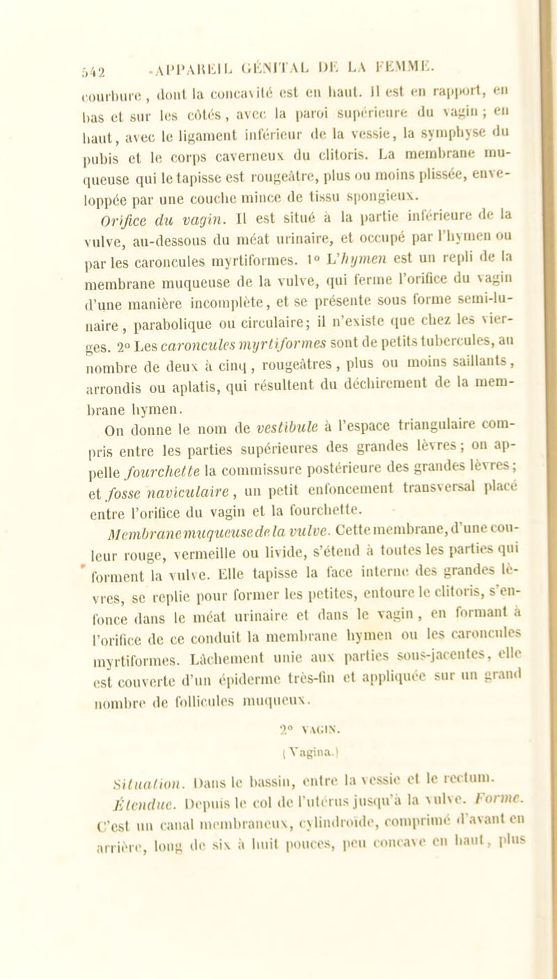 ;V,2 .APl'AKIilL (lIvNITAL l)K LA FEMMi:. couibuie , dont la coiu;a\il6 est en haut. Il est en ra|.|)oil, en has et sur les cAlés, avec, la paroi supérieure du vagin ; en haut, avec le lij^anient inférieur de la vessie, la symphyse du pubis et 1(! corps caverneux du clitoris. La membrane mu- queuse qui le tapisse est rouf^eiitre, plus ou moins plissée, enve- loppée par une couche mince de tissu spongieux. Orifice du vagin. Il est situé à la partie intérieure de la vulve, au-dessous du méat urinaire, et occupé par l'hymen ou parles caroncules myrtiforraes. 1° L'iiymen est un repli de la membrane muqueuse de la vulve, qui ferme l'oriûce du vagin (l'une manière incomplète, et se présente sous forme semi-lu- naire, parabolique ou circulaire; il n'existe ([ue chez les vier- ges. 2° Les caroncules myrtiformes sont de petits tubercules, au nombre de deux à cinq, rougeàtres, plus ou moins saillants, arrondis ou aplatis, qui résultent du déchirement de la mem- brane hymen. On donne le nom de vestibule à l'espace triangulaire com- pris entre les parties supérieures des grandes lèvres ; on ap- pelle fourchette la commissure postérieure des grandes lèvres; et/osse naviculaire, un petit enfoncement transversal placé entre l'orilice du vagin et la fourchette. JIvmbrane muqueuse rfs /« t'MZye. Cette membrane, d'une cou- leur rouge, vermeille ou livide, s'étend à toutes les parties qui ' forment la vuhe. Elle tapisse la face interne des grandes lè- vres, se replie pour former les petites, entoure le clitoris, s'en- fonce dans le méat urinaire et dans le vagin , en formant à l'oritiee de ce conduit la membrane hymen ou les caroncules myrtiformes. LAcbement unie aux parties sous-jacentes, elle est couverte d'un épiderme très-tin et appliquée sur un grand nombre de follicules muqueux. •).° VAGIN. (Yagina.l miualion. Dans le bassin, entre la vessie et le rectum. Étendue. Depuis le col de l utcrus jusqu'à la vulve. Forme. C'est un canal nu>mbraneux, eylindroule, comprimé d'avant en