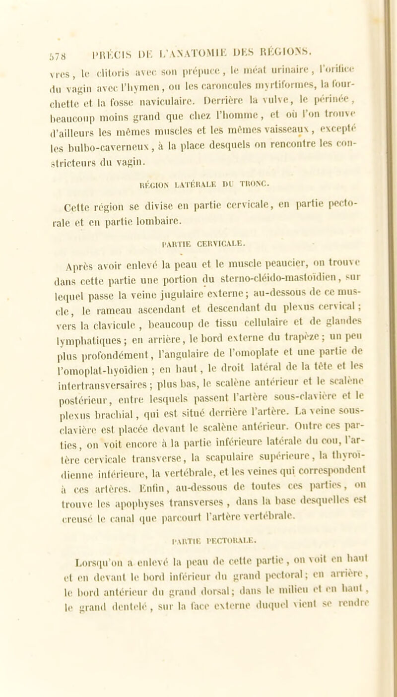 ;,7.S l'Iih.CIS l)i: l/ANATOMIK UKS REGIONS. M (^s, h: clitoris avec sim |>i('im(c , li- iii«-al urinaii i-, rotilicc (lu vaf^iii avec l'Iiynion, ou les caroncules iii>rliformcs, la (our- chello d la fosse naviciilaire. Doriièic la vulve, le périnée, beaucoup moins grand que chez riiomme, et où l'on trouve d'ailleurs les mômes muscles et les mêmes vaisseaux, excepté les bulbo-caverneux, à la place desquels on rencontre les con- stricteurs du vagin. RÉGION L\rÉHALE DU TIIONC. Cette région se divise en partie cervicale, en partie pecto- rale et en partie lombaire. CARTIE CEllVICALE. Après avoir enlevé la peau et le muscle peaucier, on trouve dans cette partie une portion du stcrno-cléido-mastoidien, sur lequel passe la veine jugulaire externe ; au-dessous de ce mus- cle, le rameau ascendant et descendant du plexus cervical ; vers la clavicule , beaucoup de tissu cellulaire et de glandes lymphatiques; en arrière, le bord externe du trapèze; un peu plus profondément, l'angulaire de l'omoplate et une partie de romoplat-hyoldicu ; en haut, le droit latéral de la tète et les inlertransversairos ; plus bas, le scalène antérieur et le scalène postérieur, entre lesquels passent l'artère sons-clavière et le plexus brachial, (|ui est situé derrière l'artère. La veine sous- clavière est placée devant le scalène antérieur. Outre ces par- ties, on voit encore à la partie inférieure latérale du cou, l'ar- tère'cervicale Iransverse, la scapulaire supérieure, la thyroï- dienne inférieure, la vertébrale, et les veines qui correspondent il ces artères. I':ntin, au-dessous de toutes ces parties, on trouve les apophyses transverses , <lans la base desquelles est creusé le canal que parcourt l'artère vertébrale. l'AIlTU-; l'ECTOltAl.E. Lorsqu'on a enlevé la peau de cette partie, on voit en liant et en devant le bord infériem- du grand pectoral; en arrière, le bord antérieiu' du grand dorsal; dans le milieu et en liant . le grand dentelé, sur la face externe duquel vient se rendre