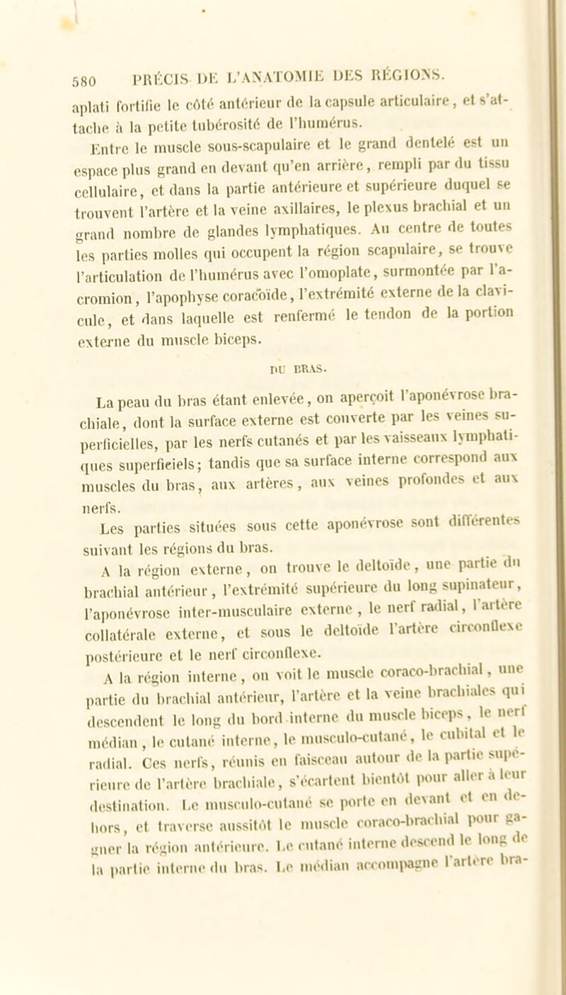 aplati fortifie le côté antc'îrieur de la capsule articulaire, et s'at- tache à la petite tubérosité de l'humérus. Entre le muscle sous-scapuiaire et le grand dentelé est un espace plus grand en devant qu'en arrière, rempli par du tissu cellulaire, et dans la partie antérieure et supérieure duquel se trouvent l'artère et la veine axillaires, le plexus brachial et un grand nombre de glandes lymphatiques. Au centre de toutes les parties molles qui occupent la région scapnlaire, se trouve l'articulation de l'humérus avec l'omoplate, surmontée par l'a- cromion, l'apophyse coracoïde, l'extrémité externe de la clavi- cule, et dans laquelle est renfermé le tendon de la portion externe du mu.scle biceps. PL' BR.VS. La peau du bras étant enlevée, on aperçoit l'aponévrose bra- chiale, dont la surface externe est couverte par les veines su- perlicielles, par les nerfs cutanés et par les vaisseaux lymphati- ques superficiels ; tandis que sa surface interne correspond aux muscles du bras, aux artères, aux veines profondes et aux nerfs. Les parties situées sous cette aponévrose sont différentes suivant les régions du bras. A la région externe, on trouve le deltoïde, une partie du brachial aniérieur, l'extrémité supérieure du long supinatenr, l'aponévrose inter-musculaire externe , le nerf radial, rarlore collatérale externe, et sous le deltoïde l'artère circonflexe postérieure et le nerf circonflexe. A la région interne, on voit le muscle coraco-brachial, une partie du brachial antérieur, l'artère et la veine brachiales qui descendent le long du bord interne du muscle biceps, le nerf médian, le cutané interne, le musculo-cutané, le cubital et le ra.lial. Ces nerfs, réunis en faisceau autour de la partie supé- rieure .le l'artère brachiale, s'écartent bientôt pour aller a leur .leslination. Le musculo-cutané se porte en devant et en de- liors, et traverse aussitôt le muscle coraco-brachial pour ga- aner la région antérieure. Le cutané interne descend le long de la partie interne du bras. Le médian accomi«gne Tarière bra-