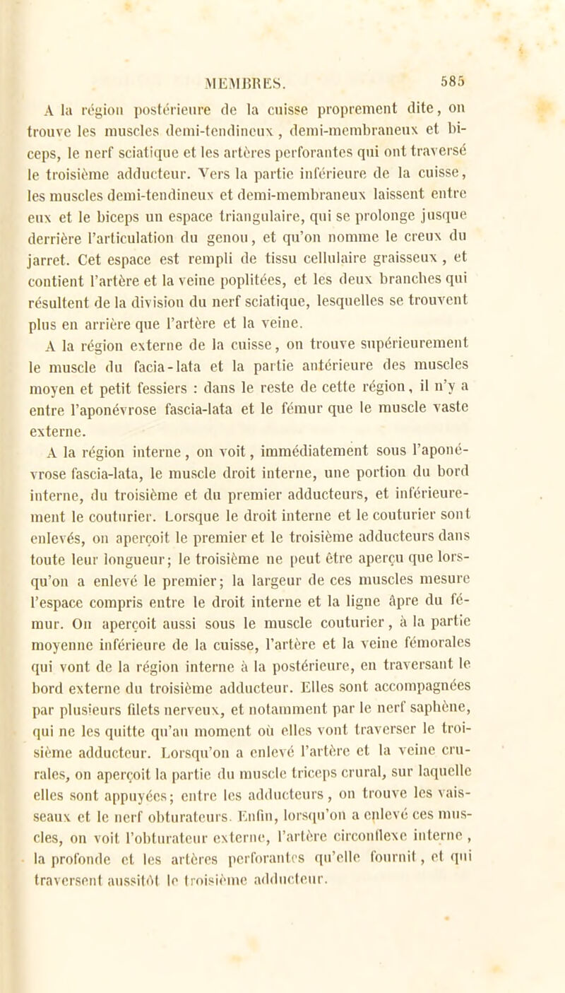 A la région postérieure de la cuisse proprement dite, on trouve les muscles demi-tendineux, demi-membraneux et bi- ceps, le nerf sciatique et les artères perforantes qui ont traversé le troisième adducteur. Vers la partie inférieure de la cuisse, les muscles demi-tendineus et demi-membraneux laissent entre eux et le biceps un espace triangulaire, qui se prolonge jusque derrière l'articulation du genou, et qu'on nomme le creux du jarret. Cet espace est rempli de tissu cellulaire graisseux , et contient l'artère et la veine poplitées, et les deux branches qui résultent de la division du nerf sciatique, lesquelles se trouvent plus en arrière que l'artère et la veine. A la région externe de la cuisse, on trouve supérieurement le muscle du facia-lata et la partie antérieure des muscles moyen et petit fessiers : dans le reste de cette région, il n'y a entre l'aponévrose fascia-lata et le fémur que le muscle vaste externe. A la région interne , on voit, immédiatement sous l'aponé- vrose fascia-lata, le muscle droit interne, une portion du bord interne, du troisième et du premier adducteurs, et inférieure- ment le couturier. Lorsque le droit interne et le couturier sont enlevés, on aperçoit le premier et le troisième adducteurs dans toute leur longueur; le troisième ne peut être aperçu que lors- qu'on a enlevé le premier; la largeur de ces muscles mesure l'espace compris entre le droit interne et la ligne âpre du fé- mur. On aperçoit aussi sous le muscle couturier, à la partie moyenne inférieure de la cuisse, l'artère et la veine fémorales qui vont de la région interne à la postérieure, en traversant le bord externe du troisième adducteur. Elles sont accompagnées par plusieurs filets nerveux, et notamment par le nerf saphène, qui ne les quitte qu'an moment où elles vont traverser le troi- sième adducteur. Lorsqu'on a enlevé l'artère et la veine cru- rales, on aperçoit la partie du muscle triceps crural, sur laquelle elles sont appuyées; entre les adducteurs, on trouve les vais- seaux et le nerf obturateurs. Enfin, lors(iu'on a enlevé ces mus- cles, on voit l'obluratenr externe, l'artère circonflexe interne , la profonde et les artères perforantes qu'elle fournit, el qui traversent aussitôt le troisième adducteur.