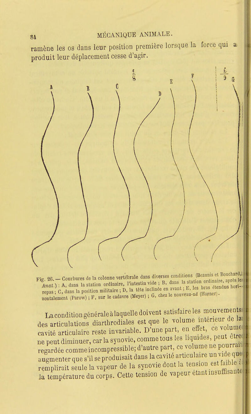 ramène les os dans ieur position première lorsque la force qui a produit leur déplacement cesse d'agir. Fig. 26. - Courbures de la colonne vertébrale dans diverses coBd. ,ons {Bea™ s e Bouc^^^^^^^^^^ Anat ) ■ A. dans la station ordinaire, l'intestin vide ; B, dans la station ordm r . après ç repas C ans la position militaire ; D. la tête inclinée en avant ; B, les ^r. J^^'^^' Sait iParow) ; F. sur le cadavre (Meyer) ; G. chez le nouveau-né (Borner). Laconditiongénéraleàlaquelledoivent satisfaireles des articulations diarthrodiales est que le ^f'I^'f'^^ cavité articulaire reste invariable. D'une part, en effet ce volum ne peut diminuer, car la synovie, comme tous les liquides, peu etr regardée commeincompressible; d'autre part, ce volume ne pourra^ augmenter que s'il se produisait dans la cavité articulaire un vide qua^ remplirait seule la vapeur de la synovie dont la tension est faible d Ja température du corps. Cette tension de vapeur étant insuffisants
