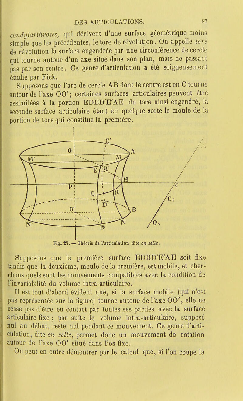 condylarthroses, qui dérivent d'une surface géométrique moins simple que les précédentes, le tore de révolution. On appelle tore de révolution la surface engendrée par une circonférence de cercle qui tourne autour d'un axe situé dans son plan, mais ne passant pas par son centre. Ce genre d'articulation a été soigneusement étudié par Fick. Supposons que l'arc de cercle AB dont le centre est en 0 tourne autour de l'axe 00'; certaines surfaces articulaires peuvent être assimilées à la portion EDBD'E'AE du tore ainsi engendré, la seconde surface articulaire étant en quelque sorte le moule de la portion de tore qui constitue la première. Fig. 87. — Théorie de l'articulation dite en selle. Supposons que la première surface EDBD'E'AE soit fixe tandis que la deuxième, moule de la première, est mobile, et cher- chons quels sont les mouvements compatibles avec la condition de l'invariabilité du volume intra-articulaire. Il est tout d'abord évident que, si la surface mobile (qui n'e?t pas représentée sur la figure) tourne autour de l'axe 00', elle ne cesse pas d'être en contact par toutes ses parties avec la surface articulaire fixe ; par suite le volume intra-articulaire, supposé nul au début, reste nul pendant ce mouvement. Ce genre d'arti- culation, dite en selle, permet donc un mouvement de rotation autour de l'axe 00' situé dans l'os fixe. On peut en outre démontrer par le calcul que, si I'oq coupe la