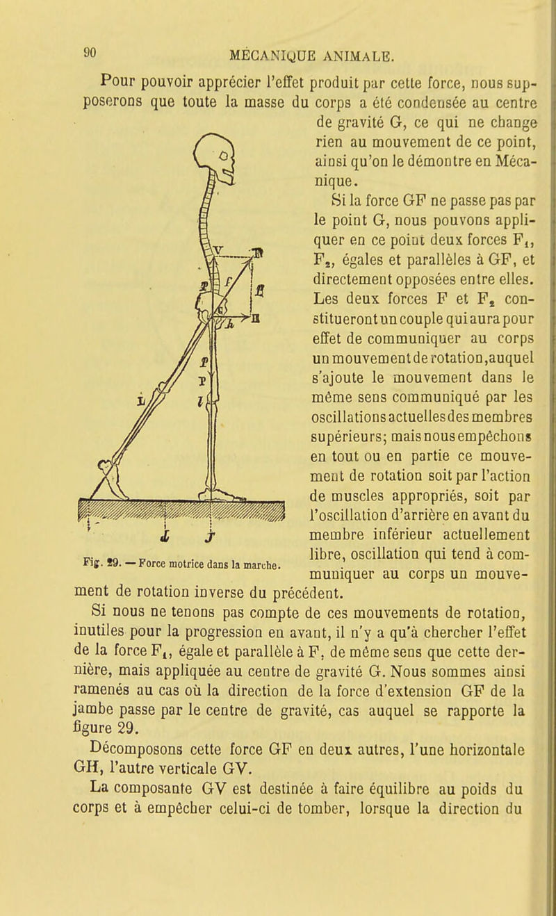 Pour pouvoir apprécier l'effet produit pur cette force, nous sup- poserons que toute la masse du corps a été condensée au centre de gravité G, ce qui ne change rien au mouvement de ce point, ainsi qu'on le démontre en Méca- nique. Si la force GP ne passe pas par le point G, nous pouvons appli- quer en ce point deux forces F,, Fj, égales et parallèles à GF, et directement opposées entre elles. Les deux forces F et Fj con- stitueront un couple qui aura pour effet de communiquer au corps un mouvementde rotation,auquel s'ajoute le mouvement dans le même sens communiqué par les oscillations actuellesdes membres supérieurs; mais nous empêchons en tout ou en partie ce mouve- ment de rotation soit par l'action de muscles appropriés, soit par l'oscillation d'arrière en avant du membre inférieur actuellement libre, oscillation qui tend à com- muniquer au corps un mouve- Fig;. 89. — Force motrice dans la marche. ment de rotation inverse du précédent. Si nous ne tenons pas compte de ces mouvements de rotation, inutiles pour la progression en avant, il n'y a qu'à chercher l'effet de la force F,, égale et parallèle à F, de même sens que cette der- nière, mais appliquée au centre de gravité G, Nous sommes ainsi ramenés au cas où la direction de la force d'extension GF de la jambe passe par le centre de gravité, cas auquel se rapporte la figure 29. Décomposons cette force GP en deux autres, l'une horizontale GH, l'autre verticale GV. La composante GV est destinée à faire équilibre au poids du corps et à empêcher celui-ci de tomber, lorsque la direction du