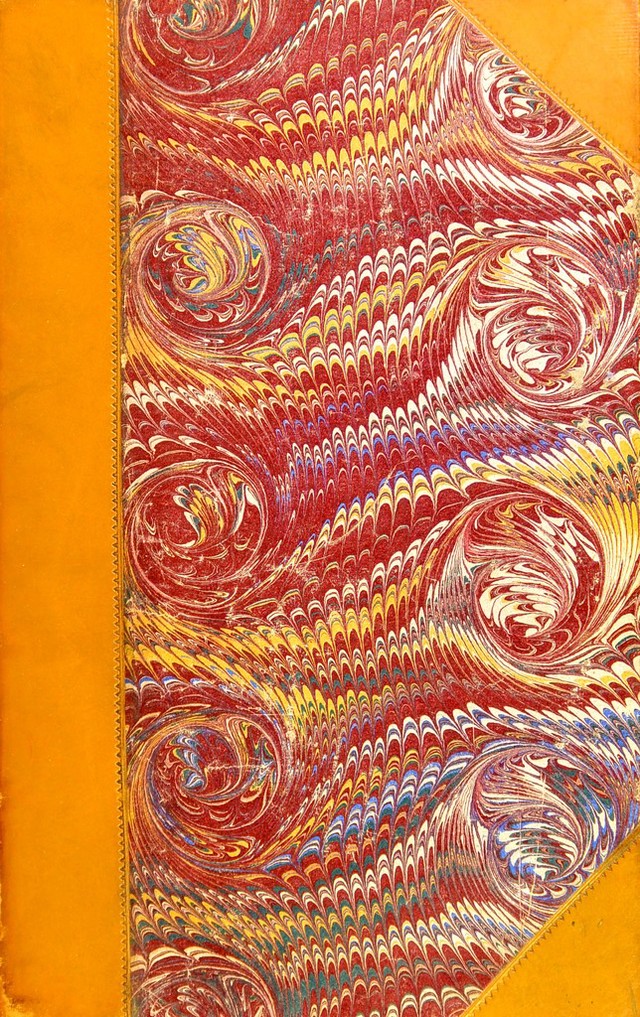 No text description is available for this image