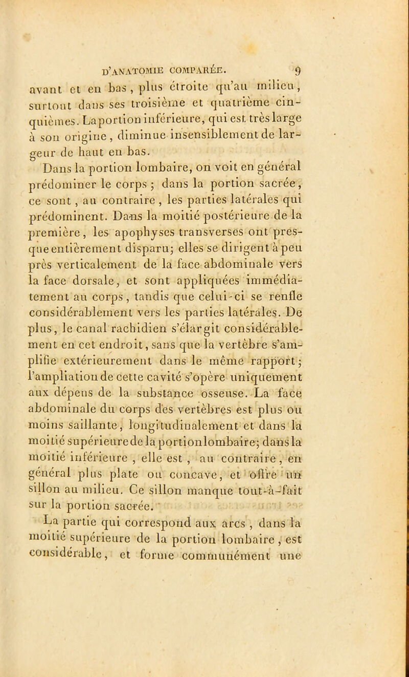 avant et en bas , plus étroite qu’au milieu, surtout dans ses troisième et quatrième cin- quièmes. La portion inférieure, qui est très large à son origine, diminue insensiblement de lar- geur de haut eu bas. Dans la portion lombaire, on voit en général prédominer le corps ; dans la portion sacrée, ce sont , au contraire , les parties latérales qui prédominent. Dans la moitié postérieure de la première , les apophyses transverses ont pres- que entièrement disparu; elles se dirigent à peu près verticalement de la face abdominale vers la face dorsale, et sont appliquées immédia- tement au corps, tandis que celui-ci se renfle considérablement vers les parties latérales. De plus, le canal rachidien s’élargit considérable- ment en cet endroit, sans que la vertèbre s’am- plifie extérieurement dans le même rapport; l’ampliation de cette cavité s’opère uniquement aux dépens de la substance osseuse. La face abdominale du corps des vertèbres est plus ou moins saillante, longitudinalement et dans la moitié supérieuredela portionlombaire; dans la moitié intérieure , elle est , au contraire, en général plus plate ou concave, et offre un sillon au milieu. Ce sillon manque tout-à-fait sur la portion sacrée. La partie qui correspond aux arcs , dans la moitié supérieure de la portion lombaire , est considérable, et forme communément une