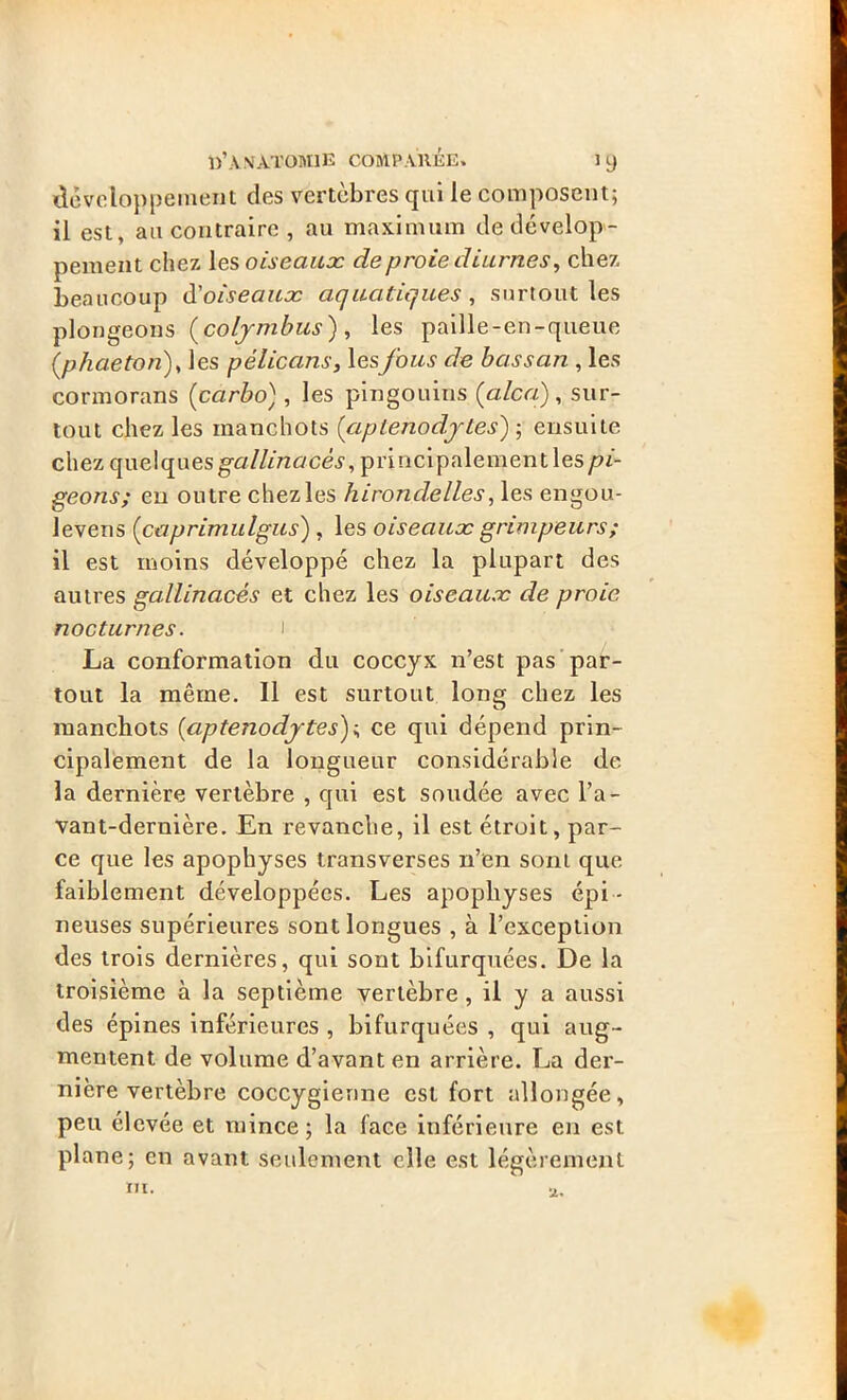 développement des vertèbres qui le composent; il est, au contraire , au maximum de dévelop- pement chez les oiseaux de proie diurnes, chez beaucoup d'oiseaux aquatiques, surtout les plongeons Çcolymbus), les paille-en-queue (phaeton), les pélicans, lesfous de bassan , les cormorans Çcarbo), les pingouins Ça le a), sur- tout chez les manchots Çaplenodjtes) ; ensuite chez quelques gz/Z/mocév, principalement les pi- geons; en outre chez les hirondelles, les engou- levens Çcaprimulgus) , les oiseaux grimpeurs ; il est moins développé chez la plupart des autres gallinacés et chez les oiseaux de proie nocturnes. i La conformation du coccyx n’est pas par- tout la même. Il est surtout long chez les manchots Çaptenodytes); ce qui dépend prin- cipalement de la longueur considérable de la dernière vertèbre , qui est soudée avec l'a- vant-dernière. En revanche, il est étroit, par- ce que les apophyses transverses n’en sont que faiblement développées. Les apophyses épi - neuses supérieures sont longues , à l’exception des trois dernières, qui sont bifurquées. De la troisième à la septième vertèbre , il y a aussi des épines inférieures , bifurquées , qui aug- mentent de volume d’avant en arrière. La der- nière vertèbre coccygienne est fort allongée, peu élevée et mince; la face inférieure en est plane; en avant seulement elle est légèrement