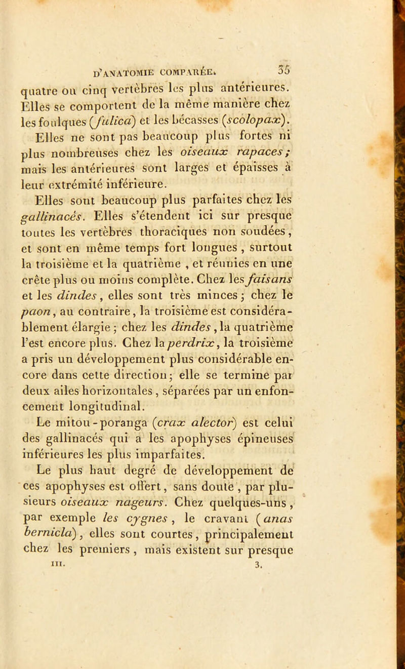 qaatrc ou cinq vertèbres les pins antérieures. Elles se comportent de la même manière chez les foulques (Jiilicd) et les bécasses (scolopaæ). Elles ne sont pas beaucoup plus fortes ni plus nombreuses chez les oiseaux rapaces ; mais les antérieures sont larges et épaisses à leur extrémité inférieure. Elles sont beaucoup plus parfaites chez les gallinacés. Elles s’étendent ici sur presque toutes les vertèbres thoraciques non soudées, et sont en même temps fort longues , surtout la troisième et la quatrième , et réunies en une crête plus ou moins complète. Chez les faisans et les dindes, elles sont très minces ; chez le paon, au contraire, la troisième est considéra- blement élargie ; chez les dindes, la quatrième l’est encore plus. Chez la perdrix, la troisième a pris un développement plus considérable en- core dans cette direction- elle se termine par deux ailes horizontales , séparées par un enfon- cement longitudinal. Le mitou-poranga (’crax alector) est celui des gallinacés qui a les apophyses épineuses inférieures les plus imparfaites. Le plus haut degré de développement de ces apophyses est offert, sans doute , par plu- sieurs oiseaux nageurs. Chez quelques-uns, par exemple les cygnes , le cravani (anas bermcla) , elles sont courtes , principalemeut chez les premiers , mais existent sur presque ni. 3.