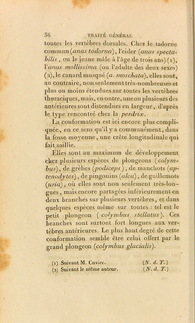 toutes les vertèbres dorsales. Chez le tadorne commun (.arias tadorna), l’eider ( anas specla- bilis , ou le jeune mâle à l’âge de trois ans) (i), Varias mollissima (ou l’adulte des deux sexes) (2), le canard musqué (a. moschala), elles sont, au contraire, non seulement très-nombreuses et plus ou moins étendues sur toutes les vertèbres thoraciques, mais, en outre, une ou plusieurs des antérieures sont distendues en largeur, d’apres le type rencontré chez la perdrix. La conformation est ici encore plus compli- quée , en ce sens qu’il y a communément, dans la fosse moyenne, une crête longitudinale qui fait saillie. Elles sont au maximum de développement chez plusieurs espèces de plongeons (coljm- bus), de grèbes (podiceps) , de manchots (cip- tenodjtes) , de pingouins (a/ca) , de guillemots (’uria) , où elles sont non seulement très-lon- gues , mais encore partagées inférieurement en deux branches sur plusieurs vertèbres, et dans quelques espèces même sur toutes : tel est le petit plongeon ( coljmbus stellatus). Ces branches sont surtout fort longues aux ver- tèbres antérieures. Le plus haut degré de cette conformation semble être celui offert par le grand plongeon (coljmbus glacialis). (1) Suivant M. Cuvier. (2) Suivant le même auteur. {N. d. T. ) (N. d. T.)