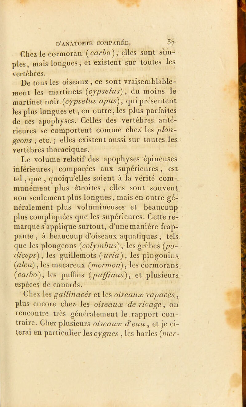 Chez le cormoran ( ccirbo), elles sont sim- ples, mais longues, et existent sur toutes les vertèbres. De tous les oiseaux, ce sont vraisemblable- ment les martinets (cypselus), du moins le martinet noir (cypselus apus), qui présentent les plus longues et, en outre, les plus parfaites de ces apophyses. Celles des vertèbres, anté- rieures se comportent comme chez' les plon- geons , etc. ; elles existent aussi sur toutes les vertèbres thoraciques. Le volume relatif des apophyses épineuses inférieures, comparées aux supérieures, est tel , que , quoiqu’elles soient à la vérité com- munément plus étroites , elles sont souvent non seulement plus longues , mais en outre gé- néralement plus volumineuses et beaucoup plus compliquées que les supérieures. Cette re- marque s’applique surtout, d’une manière frap- pante , à beaucoup d’oiseaux aquatiques , tels que les plongeons ('colymbus), les grèbes (po- cliceps), les guillemots (aria), les pingouin^ (alcci) , les macareux (inormon), les cormorans (carbo), les pufïins (puffinus.), et plusieurs espèces de canards. Chez les gallinacés et les oiseaux rapaces , plus encore chez les oiseaux de rivage, ou rencontre très généralement le rapport con- traire. Chez plusieurs oiseaux d’eau , et je ci- terai en particulier les cygnes , les harles (mer-