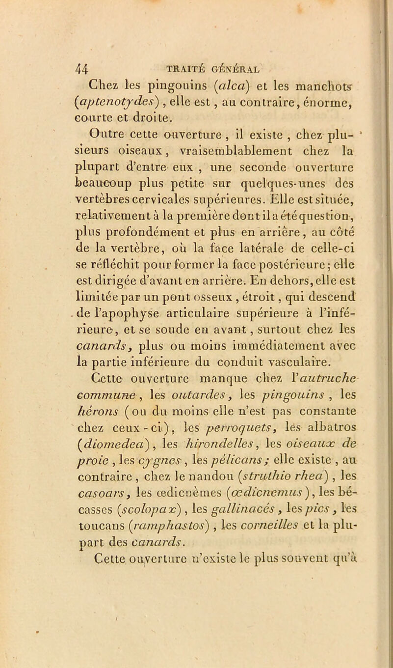 Chez les pingouins (alca) et les manchots (aptenotydes), elle est, au contraire, énorme, courte et droite. Outre cette ouverture , il existe , chez plu- * sieurs oiseaux, vraisemblablement chez la plupart d’entre eux , une seconde ouverture beaucoup plus petite sur quelques-unes des vertèbres cervicales supérieures. Elle est située, relativement à la première dont il a été question, plus profondément et plus en arrière, au côté de la vertèbre, où la face latérale de celle-ci se réfléchit pour former la face postérieure ; elle est dirigée d’avant en arrière. En dehors, elle est limitée par un pont osseux , étroit, qui descend de l’apophyse articulaire supérieure à l’infé- rieure, et se soude en avant, surtout chez les canards, plus ou moins immédiatement avec la partie inférieure du conduit vasculaire. Cette ouverture manque chez Y autruche commune, les outardes, les pingouins , les hérons (ou du moins elle n’est pas constante chez ceux-ci), les perroquets, lés albatros (diomedea), les hirondelles, les oiseaux de proie , les cygnes, les pélicans ; elle existe , au contraire , chez le nandou [struthio rhea) , les casoars, les œdicnèmes (œdicnemus ), les bé- casses (scolopa r) , les gallinacés , les pics, les toucans (ramphastos) , les corneilles et la plu- part des canards. Cette ouverture n’existe le plus souvent qu’à