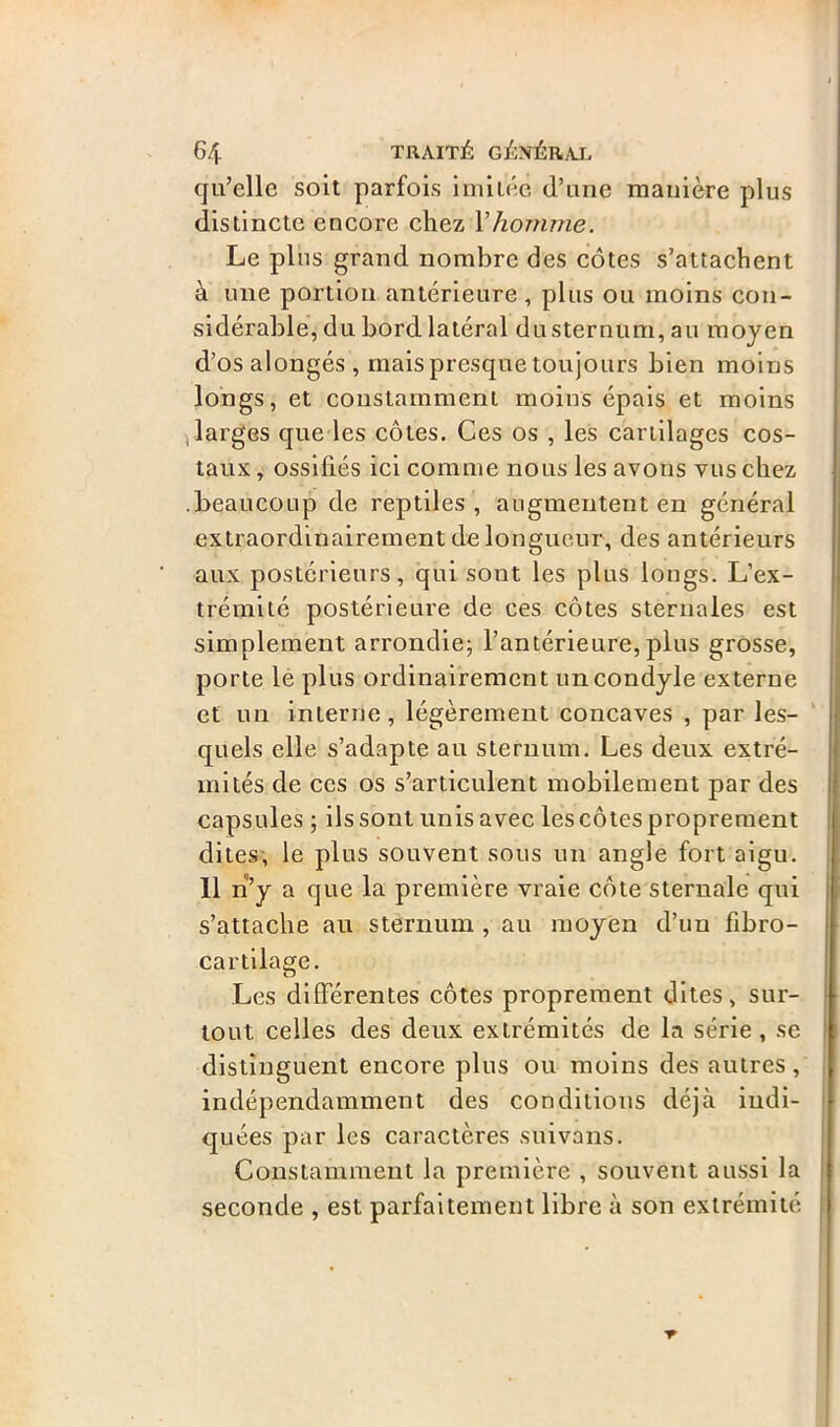 qu’elle soit parfois imitée (l’une manière plus distincte encore chez l'homme. Le pins grand nombre des côtes s’attachent à une portion antérieure , plus ou moins con- sidérable, du bord latéral dusternum, au moyen d’os alongés , mais presque toujours bien moins longs, et constamment moins épais et moins .larges que les côtes. Ces os , les cartilages cos- taux , ossifiés ici comme nous les avons vus chez .beaucoup de reptiles , augmentent en général extraordinairement de longueur, des antérieurs aux postérieurs, qui sont les plus longs. L’ex- trémité postérieure de ces côtes sternales est simplement arrondie; l’antérieure,plus grosse, porte le plus ordinairement uncondyle externe et un interne, légèrement concaves , par les- quels elle s’adapte au sternum. Les deux extré- mités de ces os s’articulent mobilement par des capsules ; ils sont unis avec les côtes proprement dites, le plus souvent sous un angle fort aigu. 11 n’y a que la première vraie côte sternale qui s’attache au sternum , au moyen d’un fibro- cartilage. o Les différentes côtes proprement dites, sur- tout celles des deux extrémités de la série , se distinguent encore plus ou moins des autres, indépendamment des conditions déjà indi- quées par les caractères su'ivans. Constamment la première , souvent aussi la seconde , est parfaitement libre à son extrémité