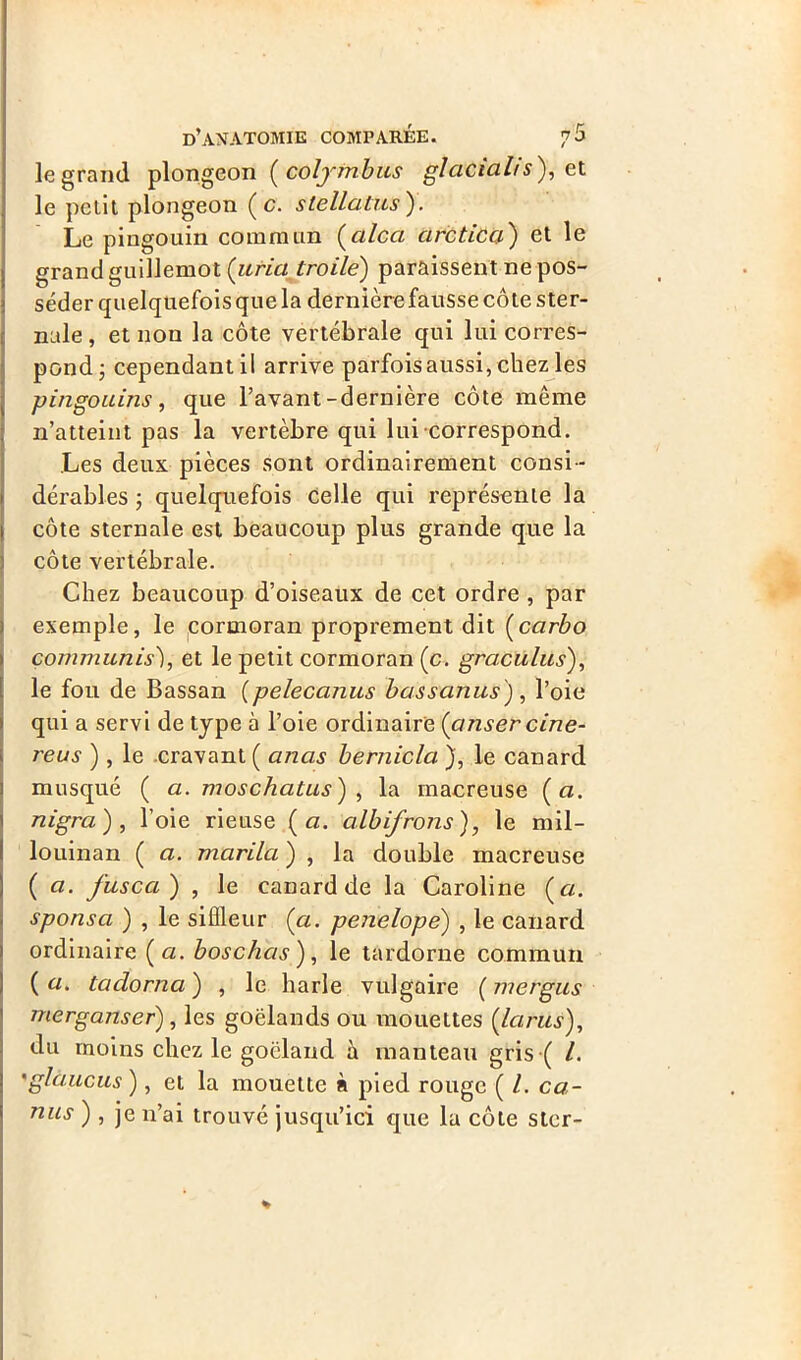 le grand plongeon ( colytribus gîaciahs), et le petit plongeon (c. slellatus). Le pingouin commun (alcci arc tic a) et le grand guillemot (iiria troile) paraissent ne pos- séder quelquefois que la dernière fausse côte ster- nale , et lion la côte vertébrale qui lui corres- pond; cependant il arrive parfois aussi, chez les pingouins, que l’avant-dernière côte même n’atteint pas la vertèbre qui lui correspond. Les deux pièces sont ordinairement consi - dérables ; quelquefois celle qui représente la côte sternale est beaucoup plus grande que la côte vertébrale. Chez beaucoup d’oiseaux de cet ordre , par exemple, le cormoran proprement dit (carbo commuais), et le petit cormoran (c. graculus), le fou de Bassan (pelecanus bassanus), l’oie qui a servi de type à l’oie ordinaire (anser cine- reus ), le cravant ( anas bernicla ), le canard musqué ( a. moschatus) , la macreuse ( a. nigra) , l’oie rieuse (a. albifrons), le mil- louinan ( a. marilci ) , la double macreuse ( a. fusca ) , le canard de la Caroline ( a. sponsa ) , le siflleur (a. penelope) , le canard ordinaire (<2. boschas), le tardorne commun ( a. tadorna ) , le harle vulgaire ( mergus merganser), les goélands ou mouettes (larus), du moins chez le goéland h manteau gris ( l. 'glaucus ), et la mouette à pied rouge ( l. ca- nus ) , je n’ai trouvé jusqu’ici que la côte ster-