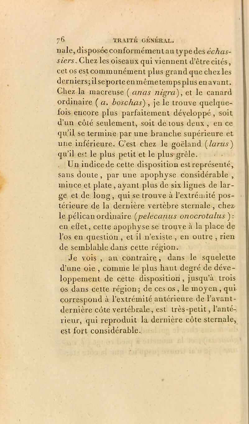 nale, disposée conformément au type des échas- siers. Chez les oiseaux qui viennent d’être cités, cet os est communément plus grand que chez les derniers; il se porte en même temps plus en avant. Chez la macreuse ( anas nigra), et le canard ordinaire ( a. boschas) , je le trouve quelque- fois encore plus parfaitement développé, soit d’un côté seulement, soit de tous deux , en ce qu’il se termine par une branche supérieure et une inférieure. C’est chez le goéland Çlarus) qu’il est le plus petit et le plus grêle. Un indice de celte disposition est représenté, sans doute, par une apophyse considérable , mince et plate , ayant plus de six ligues de lar- ge et de long, qui se trouve à l’extrémité pos- térieure de la dernière vertèbre sternale , chez le pélican ordinaire Çpe/ecanus onocrotalus ) : en eflet, cette apophyse se trouve à la place de l’os en question , et il n’existe , en outre , rien de semblable dans cette région. Je vois , au contraire, dans le squelette d’une oie , comme le plus haut degré de déve- loppement de cette disposition, jusqu’à trois os dans cette région; de ces os , le moyen , qui correspond à l’extrémité antérieure de l’avant- dernière côte vertébrale, est très-petit, l'anté- rieur, qui reproduit la. dernière côte sternale, çst fort considérable.