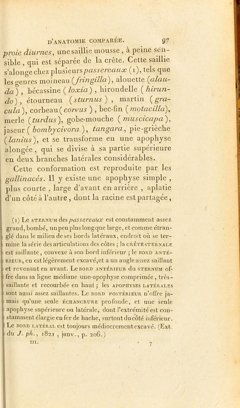 proie diurnes, une saillie mousse , a peine sen- sible , qui est séparée de la crête. Cette saillie s’alonge chez plusieurs passereaux (i), tels que les genres moineau i^J'ringilla ), alouette (cilau- da ) , bécassine ( loxia) , hirondelle ( hirun- do), étourneau {sturnus) , martin (gra- culci), corbeau ( coivus ) , bec-fin ( mo tac ilia,), merle (turdus), gobe-mouche ( muscicapa), jaseur ( bombycivora ), tangara, pie-grièche (tanius), et se transforme en une apophyse alongée, qui se divise à sa partie supérieure en deux branches latérales considérables. Cette conformation est reproduite par les gallinacés. 11 y existe une apophyse simple , plus courte , large d’avant en arrière , aplatie d’un côté à l’autre , dont la racine est partagée, (1) Le sternum des passereaux es t constamment assez grand, bombé, unpenplus longqae large, et comme étran- glé dans le milieu de ses bords latéraux, endroit où se ter- mine la série désarticulations des côtes ; la crêté sternale est saillante, convexe à son bord inférieur • le bord anté- rieur, en est légèrement excavé,et a un angle assez saillant et revenant en avant. Le bord antérieur du sternum of- fre dans sa ligne médiane une-apophyse comprimée , tres- saillante et recourbée en haut; les apophyses latérales sont aussi assez saillantes. Le bord postérieur n’olfre ja- mais qu’une seule échancrure profonde, et une seule apophyse supérieure ou latérale, dont l’extrémité est con- stamment élargie en fer de hache, surtout du côté inférieur. Le bord latéral est toujours médiocrement excavé. (Ext. du J. ph., 1821 , janv., p. 206.) m. « 7 g