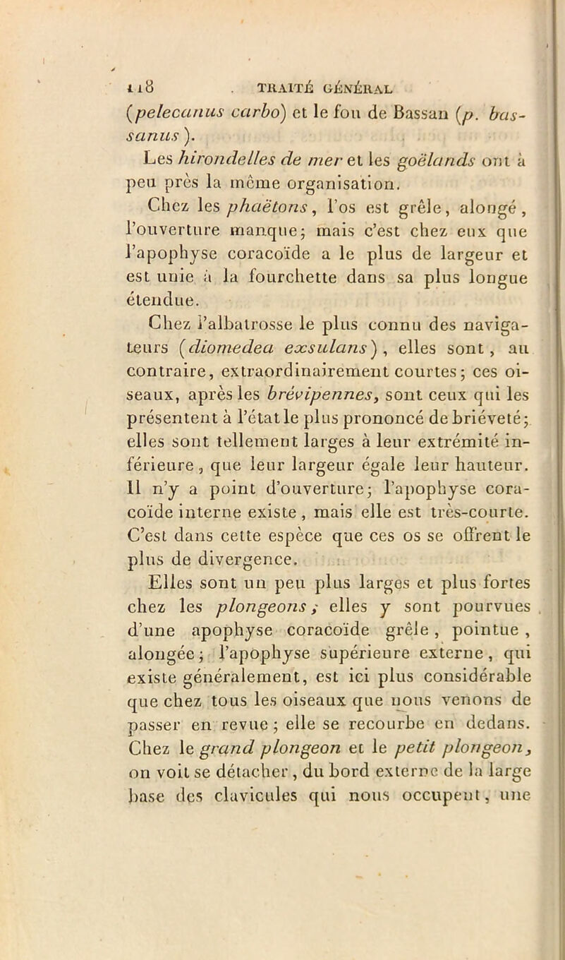 (pelecanus carbo) et le fou de Bassan (p. bas- sanus ). Les hirondelles de mer ei les goélands ont à peu près la meme organisation. Chez les phaëtons, l’os est grêle, alougé, l’ouverture manque; mais c’est chez eux que l’apophyse coracoïde a le plus de largeur et est unie à la fourchette dans sa plus longue étendue. Chez i’albatrosse le plus connu des naviga- teurs (diomedea exsulans) , elles sont, au contraire, extraordinairement courtes ; ces oi- seaux, après les brèvipennes, sont ceux qui les présentent à l’état le plus prononcé de brièveté; elles sont tellement larges à leur extrémité in- férieure, que leur largeur égale leur hauteur. 11 n’y a point d’ouverture; l’apophyse cora- coïde interne existe, mais elle est très-courte. C’est dans celte espèce que ces os se offrent le plus de divergence. Elles sont un peu plus larges et plus fortes chez les plongeons y elles y sont pourvues d’une apophyse coracoïde grêle , pointue , alongée ; l’apophyse supérieure externe, qui existe généralement, est ici plus considérable que chez tous les oiseaux que nous venons de passer en revue ; elle se recourbe en dedans. Chez 1 e, grand plongeon et le petit plongeon, on voit se détacher , du bord externe de la large base des clavicules qui nous occupent, une