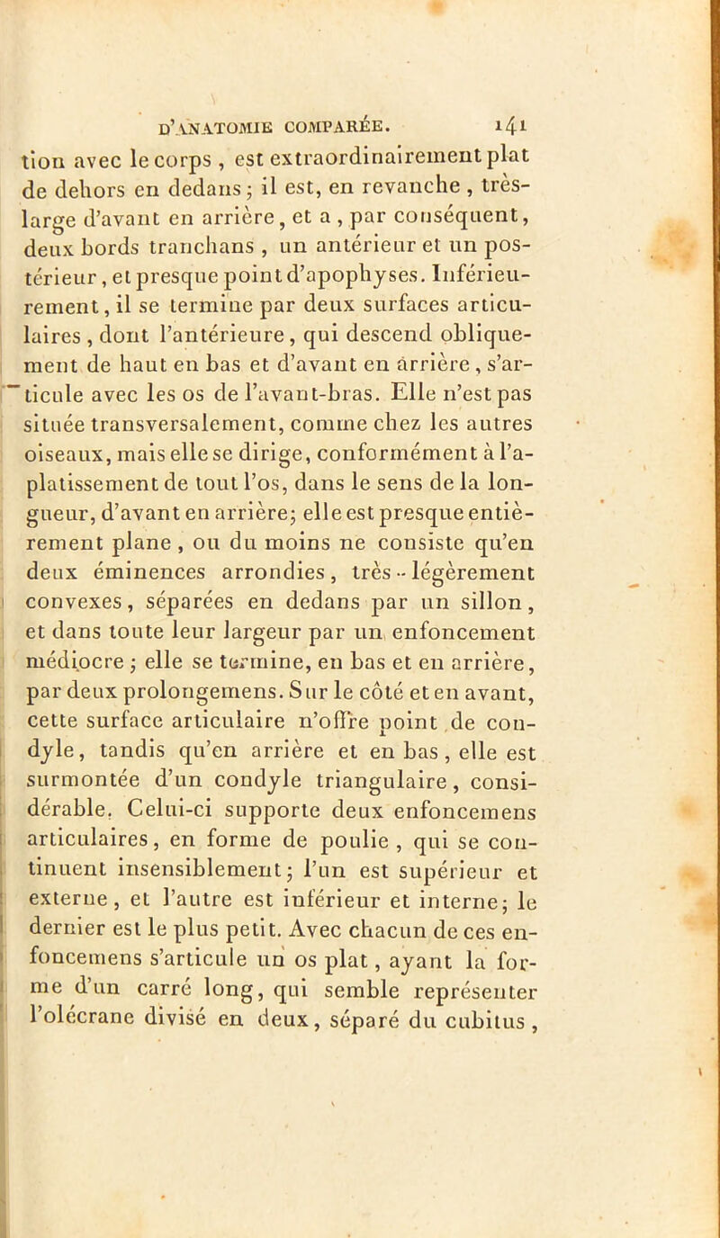 tion avec le corps , est extraordinairement plat de dehors en dedans ; il est, en revanche , très- large d’avant en arrière, et a , par conséquent, deux bords tranchans , un antérieur et un pos- térieur , el presque point d’apophyses. Inférieu- rement, il se termine par deux surfaces articu- laires , dont l’antérieure, qui descend oblique- ment de haut en bas et d’avant en arrière, s’ar- “licule avec les os de l’avant-bras. Elle 11’estpas située transversalement, comme chez les autres oiseaux, mais elle se dirige, conformément à l’a- platissement de tout l’os, dans le sens de la lon- gueur, d’avant en arrière; elle est presque entiè- rement plane , ou du moins ne consiste qu’en deux éminences arrondies, très - légèrement convexes, séparées en dedans par un sillon, et dans toute leur largeur par un enfoncement médiocre ; elle se termine, en bas et en arrière, par deux prolongemens. Sur le côté et en avant, cette surface articulaire n’ofïre point de con- dyle, tandis qu’en arrière et en bas , elle est surmontée d’un condyle triangulaire , consi- dérable. Celui-ci supporte deux enfoncemens articulaires, en forme de poulie, qui se con- tinuent insensiblement; l’un est supérieur et externe, et l’autre est inférieur et interne; le dernier est le plus petit. Avec chacun de ces en- foncemens s’articule un os plat, ayant la for- me d un carré long, qui semble représenter l’olécrane divisé en deux, séparé du cubitus,