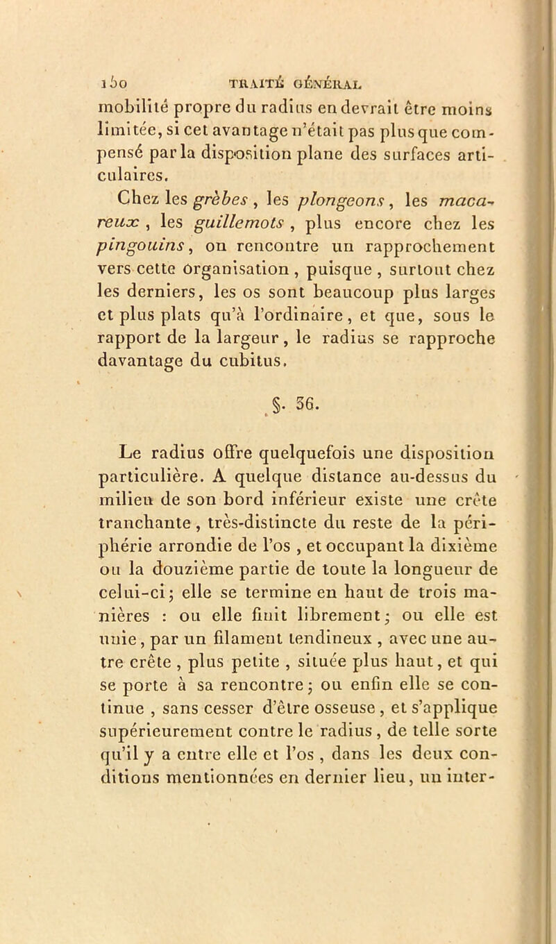 mobilité propre du radius en devrait être moins limitée, si cet avantage n’était pas plus que com- pensé parla disposition plane des surfaces arti- culaires. Chez les grèbes , les plongeons , les maca■* reuac , les guillemots , plus encore chez les pingouins, on rencontre un rapprochement vers cette organisation , puisque , surtout chez les derniers, les os sont beaucoup plus larges et plus plats qu’à l’ordinaire, et que, sous le rapport de la largeur, le radius se rapproche davantage du cubitus. §. 56. * ^ Le radius offre quelquefois une disposition particulière. A quelque distance au-dessus du milieu de son bord inférieur existe une crête tranchante , très-distincte du reste de la péri- phérie arrondie de l’os , et occupant la dixième ou la douzième partie de toute la longueur de celui-ci; elle se termine en haut de trois ma- nières : ou elle finit librement; ou elle est uuie, par un filament tendineux , avec une au- tre crête , plus petite , située plus haut, et qui se porte à sa rencontre ; ou enfin elle se con- tinue , sans cesser d’être osseuse , et s’applique supérieurement contre le radius , de telle sorte qu’il y a entre elle et l’os , dans les deux con- ditions mentionnées en dernier lieu, un inter-