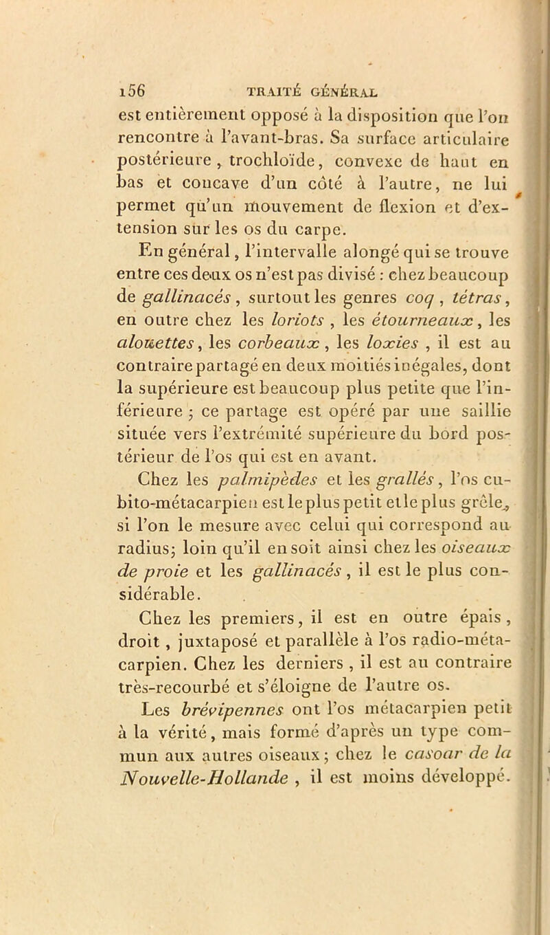 est entièrement opposé à la disposition que l’on rencontre à l’avant-bras. Sa surface articulaire postérieure , trochloïde, convexe de haut en bas et concave d’un côté à l’autre, ne lui 0 permet qu’un mouvement de flexion et d’ex- tension sur les os du carpe. En général, l’intervalle alongé qui se trouve entre ces deux os n’est pas divisé : chez beaucoup de gallinacés , surtout les genres coq , tétras, en outre chez les loriots , les étourneaux, les alouettes, les corbeaux, les loxies , il est au contraire partagé en deux moitiés inégales, dont la supérieure est beaucoup plus petite que l’in- férieure ; ce partage est opéré par une saillie située vers l’extrémité supérieure du bord pos- térieur de l’os qui est en avant. Chez les palmipèdes et les grallès, l’os cu- bito-métacarpieu est le plus petit elle plus grêle,, si l’on le mesure avec celui qui correspond au radius; loin qu’il en soit ainsi chez les oiseaux de proie et les gallinacés, il est le plus con- sidérable. Chez les premiers, il est en outre épais, droit, juxtaposé et parallèle à l’os radio-méta- carpien. Chez les derniers , il est au contraire très-recourbé et s’éloigne de l’autre os. Les brévipennes ont l’os métacarpien petit à la vérité, mais formé d’après un type com- mun aux autres oiseaux ; chez le casoar de la Nouvelle-Hollande , il est moins développé.