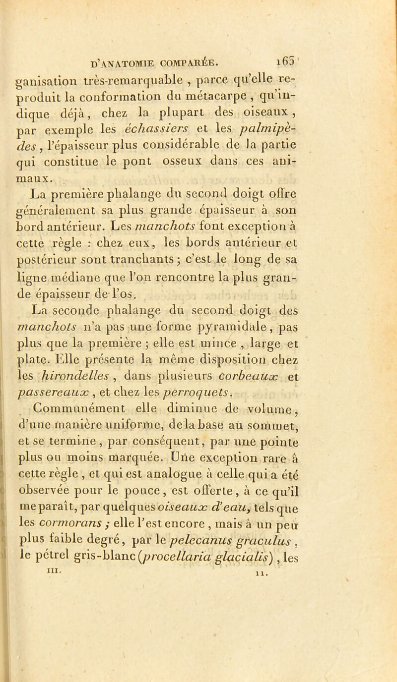 ganisation très-remarquable , parce qu’elle re- produit la conformation du métacarpe , qu’in- dique déjà, chez la plupart des oiseaux, par exemple les échassiers et les palmipè- des , l’épaisseur plus considérable de la partie qui constitue le pont osseux dans ces ani- maux. La première phalange du second doigt offre généralement sa plus grande épaisseur à son bord antérieur. Les manchots font exception à cette règle : chez eux, les bords antérieur et postérieur sont tranchants ; c’est le long de sa ligne médiane que l’on rencontre la plus gran- de épaisseur de l’os. La seconde phalange du second doigt des manchots n’a pas une forme pyramidale, pas plus que la première ; elle est mince , large et plate. Elle présente la même disposition chez les hirondelles , dans plusieurs corbeauæ et passereaux , et chez les perroquets. Communément elle diminue de volume, d’uue manière uniforme, delà base au sommet, et se termine, par conséquent, par une pointe plus ou moins marquée. Urie exception rare à cette règle , et qui est analogue à celle qui a été observée pour le pouce, est offerte, à ce qu’il me parait, par quelques oiseaux d’eau, tels que les cormorans ; elle l’est encore , mais à un peu plus faible degré, par le pelecanus grciculus , le pétrel gris-blanc (procellaria glacialis) , les