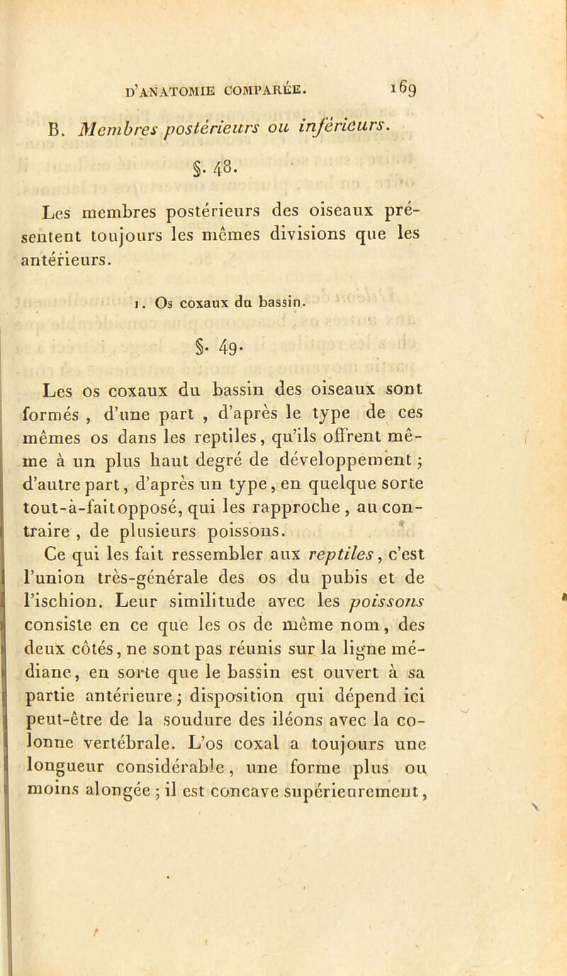 B. Membres postérieurs ou inférieurs. §. 48. Les membres postérieurs des oiseaux pré- sentent toujours les mêmes divisions que les antérieurs. 1. Os coxaux du bassin. §• 49- Les os coxaux du bassin des oiseaux sont formés , d’une part , d’après le type de ces mêmes os dans les reptiles, qu’ils oflrent mê- me à un plus haut degré de développement ; d’autre part, d’après un type, en quelque sorte tout-à-faitopposé, qui les rapproche, au con- traire , de plusieurs poissons. Ce qui les fait ressembler aux reptiles, c’est l’union très-générale des os du pubis et de l’ischion. Leur similitude avec les poissons consiste en ce que les os de même nom, des deux côtés, ne sont pas réunis sur la ligne mé- diane, en sorte que le bassin est ouvert à sa partie antérieure ; disposition qui dépend ici peut-être de la soudure des iléons avec la co- lonne vertébrale. L’os coxal a toujours une longueur considérable, une forme plus ou moins alongée ; il est concave supérieurement,