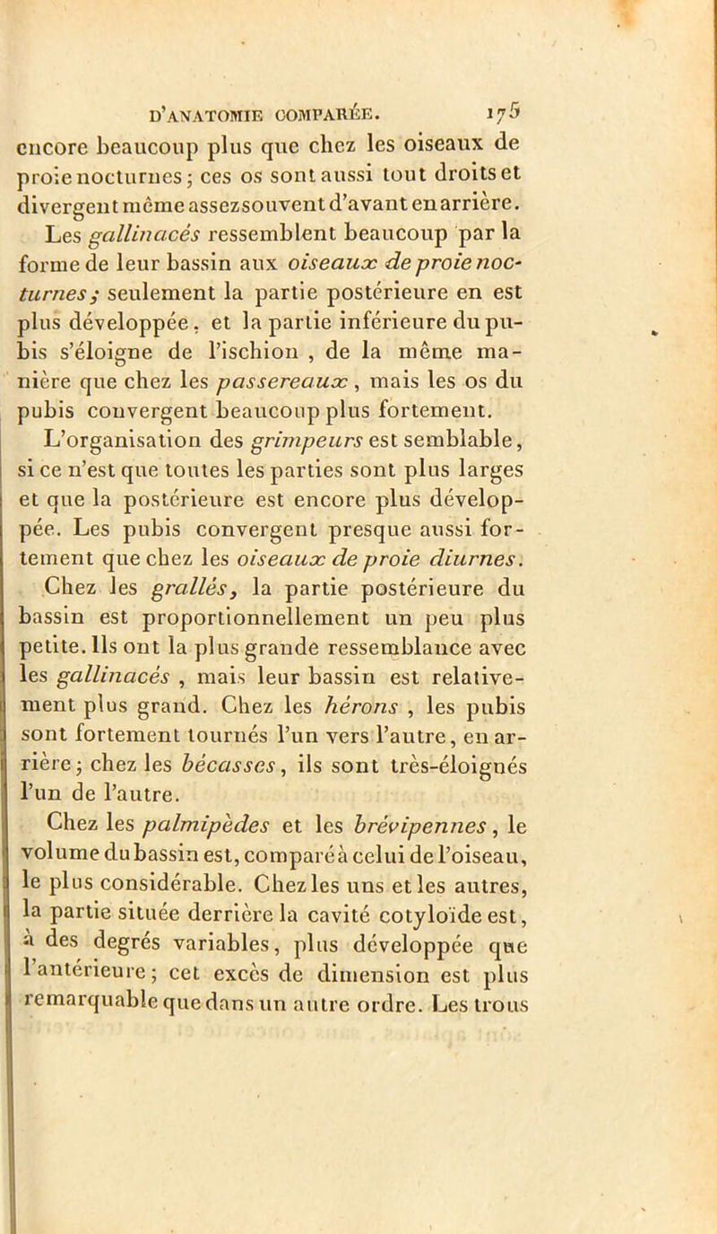 encore beaucoup plus que chez les oiseaux de proie nocturnes; ces os sont aussi tout droits et divergent même assezsouvent d’avant en arrière. Les gallinacés ressemblent beaucoup par la forme de leur bassin aux oiseaux de proie noc* tûmes ; seulement la partie postérieure en est plus développée, et la partie inférieure du pu- bis s’éloigne de l’ischion , de la même ma- nière que chez les passereaux , mais les os du pubis convergent beaucoup plus fortement. L’organisation des grimpeurs est semblable, si ce n’est que toutes les parties sont plus larges et que la postérieure est encore plus dévelop- pée. Les pubis convergent presque aussi for- tement que chez les oiseaux de proie diurnes. Chez les grallés, la partie postérieure du bassin est proportionnellement un peu plus petite. Us ont la plus grande ressemblance avec les gallinacés , mais leur bassin est relative- ment plus grand. Chez les hérons , les pubis sont fortement tournés l’un vers l’autre, en ar- rière; chez les bécasses, ils sont très-éloigués l’un de l’autre. Chez les palmipèdes et les brévipennes, le volume dubassin est, comparée celui de l’oiseau, le plus considérable. Chez les uns et les autres, la partie située derrière la cavité cotyloïde est, à des degrés variables, plus développée que 1 antérieure; cet excès de dimension est plus remarquable que dans un autre ordre. Les trous