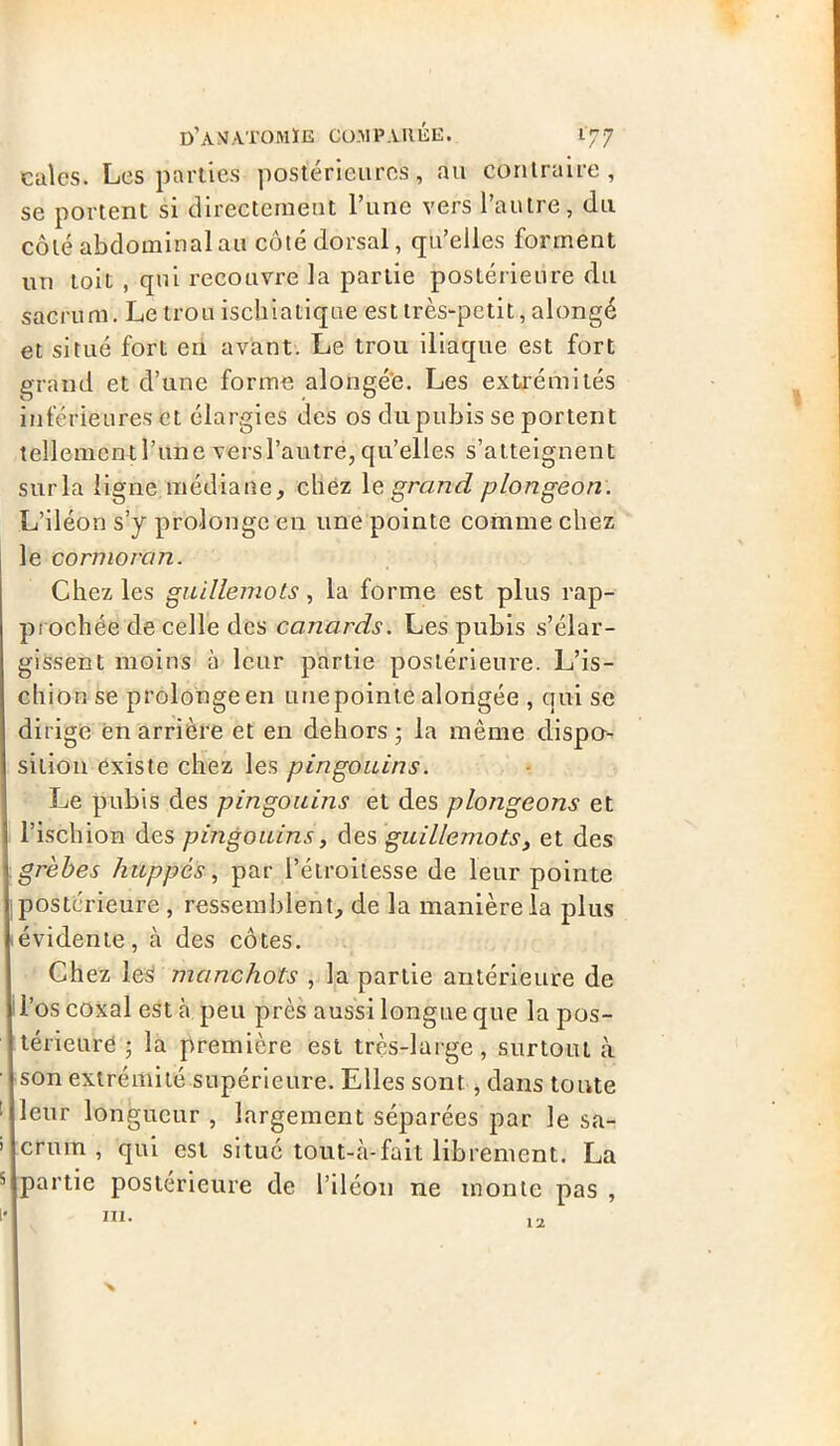 cales. Les parties postérieures, au contraire, se portent si directement l’une vers l’autre, du côté abdominal au côté dorsal, qu’elles forment un toit , qui recouvre la partie postérieure du sacrum. Le trou ischiatique est très-petit, alongé et situé fort en avant. Le trou iliaque est fort grand et d’une forme alongée. Les extrémités inférieures et élargies des os du pubis se portent tellement l’une vers l’autre, qu’elles s’atteignent surla ligne.médiane, chez 1 q. grand plongeon. L’iléon s’y prolonge en une pointe comme chez le cormoran. Chez les guillemots, la forme est plus rap- prochée de celle des canards. Les pubis s’élar- gissent moins à leur partie postérieure. L’is- chion se prolonge en une pointe alongée , qui se dirige en arrière et en dehors ; la même dispo- sition existe chez les pingouins. Le pubis des pingouins et des plongeons et l’ischion des pingouins, des guillemots, et des grèbes huppés, par l’étroitesse de leur pointe postérieure , ressemblent, de la manière la plus évidente, à des côtes. Chez les manchots , la partie antérieure de l’os coxal est à peu près aussi longue que la pos- térieure ; la première est très-large, surtout à son extrémité supérieure. Elles sont, dans toute leur longueur , largement séparées par le sa- crum , qui est situé tout-à-fait librement. La partie postérieure de l’iléon ne monte pas , ni. 12