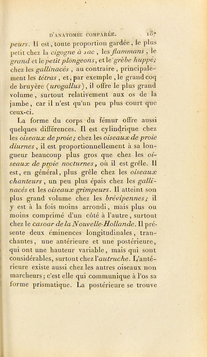 peurs, li est, toute proportion gardée, le plus petit chez la cigogne à sac , les Jlammans , le grand et le petit plongeons, etle grèbe huppé; chez les gallinacés , au contraire , principale- ment les tétras , et, par exemple , le grand coq de bruyère (urogallus), il offre le plus grand volume, surtout relativement aux os de la jambe, car il n’est qu’un peu plus court que ceux-ci. La forme du corps du fémur offre aussi quelques différences. Il est cylindrique chez les oiseaux de proie; chez les oiseaux de proie diurnes, il est proportionnellement à sa lon- gueur beaucoup plus gros que chez les oi- seaux de proie nocturnes, où il est grêle. 11 est, en général, plus grêle chez les oiseaux chanteurs , un peu plus épais chez les galli- nacés et les oiseaux grimpeurs. 11 atteint son plus grand volume chez les hrèvipennes; il y est à la fois moins arrondi, mais plus ou moins comprimé d’un côté à l’autre, surtout chez le casoar de la Nouv elle-Hollande. Il pré- sente deux éminences longitudinales, tran- chantes , une antérieure et une postérieure, qui ont une hauteur variable, mais qui sont considérables, surtout chez Xautruche. L’anté- rieure existe aussi chez les autres oiseaux non marcheurs; c’est elle qui communique à l’os sa forme prismatique. La postérieure se trouve