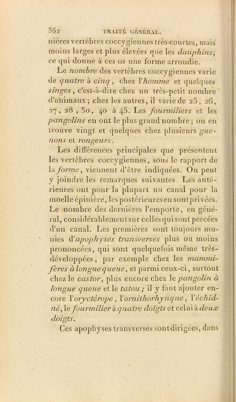 ni crcs vertèbres coccygiennes très-courtes, mais moins larges et plus élevées que les dauphins• ce qui donne à ces os une forme arrondie. Le nombre des vertèbres coccygiennes varie de quatre à cinq, chez Yhomme et quelques singes, c’est-à-dire chez un très-petit nombre ’ d’animaux ; .chez les autres, il varie de 20, 26, 27, 28 , 5o, 4° à 45. Les fourmiliers et les pangolins en ont le plus grand nombre; on en trouve vingt et quelques chez plusieurs gue- nons et rongeurs. Les différences principales que présentent les vertèbres coccygiennes, sous le rapport de la forme, viennent d’être indiquées. On peut y joindre les remarques suivantes Les anté- rieures ont pour la plupart un canal pour la moelle épinière, les postérieures en sont privées. Le nombre des dernières l’emporte, en géné- ral, considérablement sur celles qui sont percées d’un canal. Les premières sont toujours mu- nies d'apophyses transverses plus ou moins prononcées, qui sont quelquefois même très- développées, par exemple chez les mammi- fères à longue queue, et parmi ceux-ci, surtout chez le castor, plus encore chez le pangolin à longue queue et le tatou ; il y faut ajouter en- core Vorjctérope , Xornithorhynque, Yéchid- né, le fourmilier à quatre doigts et celui à deux doigts. Ces apophyses transverses sont dirigées, dans