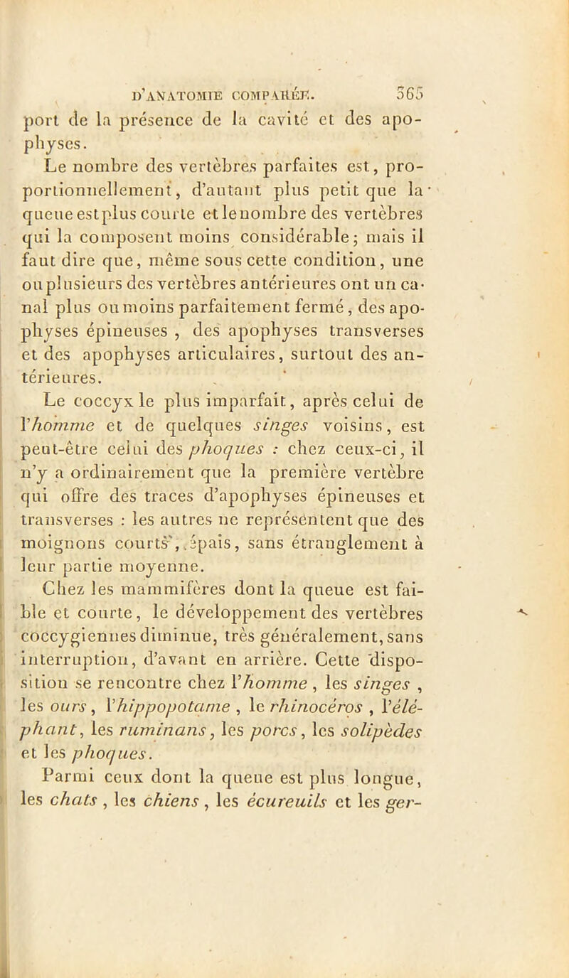 port de la présence de la cavité et des apo- physes. Le nombre des vertèbres parfaites est., pro- portionnellement, d’autant plus petit que la queue estplus courte et le nombre des vertèbres qui la composent moins considérable; mais il faut dire que, même sous cette condition, une ouplusieurs des vertèbres antérieures ont un ca- nal plus ou moins parfaitement fermé, des apo- physes épineuses , des apophyses transverses et des apophyses articulaires, surtout des an- térieures. Le coccyx le plus imparfait, après celui de Yhomme et de quelques singes voisins, est peut-être celui des phoques : chez ceux-ci, il n’y a ordinairement que la première vertèbre qui offre des traces d’apophyses épineuses et transverses : les autres ne représentent que des moignons courts-',;épais, sans étranglement à leur partie moyenne. Chez les mammifères dont la queue est fai- ble et courte, le développement des vertèbres coccygiennes diminue, très généralement, sans interruption, d’avant en arrière. Cette dispo- sition se rencontre chez Vhomme , les smges , les ours, Yhippopotame , le rhinocéros , Y élé- phant, les Tuminans, les porcs, les solipèdes et les phoques. Parmi ceux dont la queue est plus longue, les chats , les chiens, les écureuils et les ger-