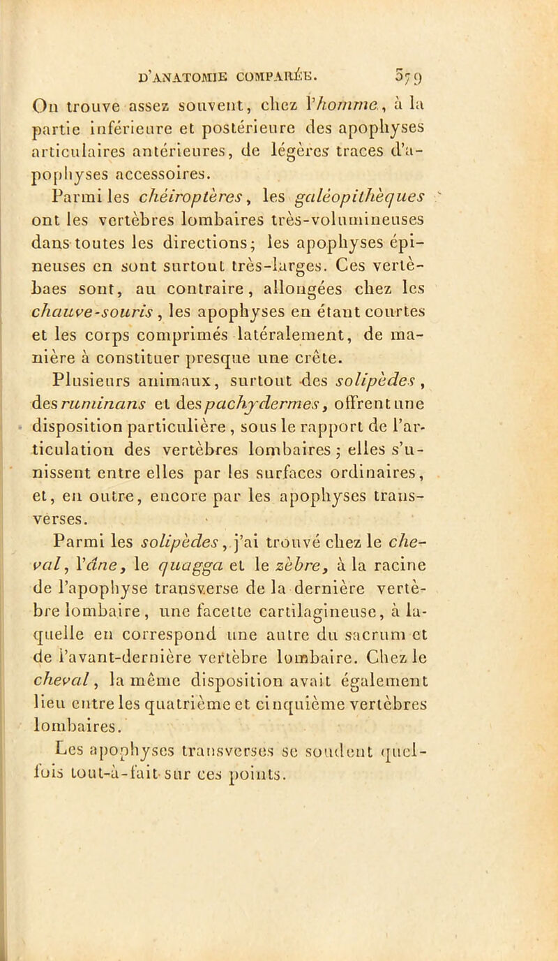 On trouve assez souvent, chez Y homme., à la partie Inférieure et postérieure des apophyses articulaires antérieures, de légères traces d’a- pophyses accessoires. Parmi les chéiroptères, les gcilèopithèques ont les vertèbres lombaires très-volumineuses dans toutes les directions; les apophyses épi- neuses en sont surtout très-larges. Ces vertè- baes sont, au contraire, allongées chez les chauve-souris , les apophyses en étant courtes et les corps comprimés latéralement, de ma- nière à constituer presque une crête. Plusieurs animaux, surtout des solipèdes , des ruminaris et d es pachydermes, offrent une disposition particulière , sous le rapport de l’ar- ticulation des vertèbres lombaires ; elles s’u- nissent entre elles par les surfaces ordinaires, et, en outre, encore par les apophyses traus- verses. Parmi les solipèdes, j’ai trouvé chez le che- val , Veine, le quagga et le zèbre, à la racine de l’apophyse transv.erse de la dernière vertè- bre lombaire, une facette cartilagineuse, à la- quelle en correspond une autre du sacrum et de l’avant-dernière vertèbre lombaire. Chez le chevcd, la même disposition avait également lieu entre les quatrième et cinquième vertèbres lombaires. Les apophyses transverses se soudent quel- luis lout-à-fait sur ces points.