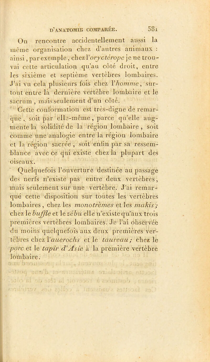 On rencontre accidentellement, aussi la même organisation chez d’autres animaux : ainsi, par exemple, cliezl’orjctcrope je ne trou- vai cette articulation qu’au côté droit, entre les sixième et septième vertèbres lombaires. J’ai vu cela plusieurs fois chez Vhomme, sur- tout entre la dernière vertèbre lombaire et le sacrum, mais seulement d’un côté. Cette conformation est très-digne de remar- que , soit par elle-même, parce qu’elle aug- mente la solidité de la région lombaire , soit comme une analogie entre la région lombaire et la région sacrée , soit enfin par sa ressem- blance avec ce qui existe chez la plupart des oiseaux. Quelquefois l’ouverture destinée au passage des nerfs n’existé pas entre deux vertèbres, mais seulement sur une vertèbre. J’ai remar- E que cette disposition sur toutes les vertèbres lombaires , chez les monotrèmes et les makis ; chez le buffle et le zébu elle n’existe qu’aux trois premières vertèbres lombaires. Je-l’ai observée du moins quelquefois aux deux premières ver- tèbres chez Vauerochs et le taureau; chez le porc et le tapir d’Asie à la première vertèbre lombaire.