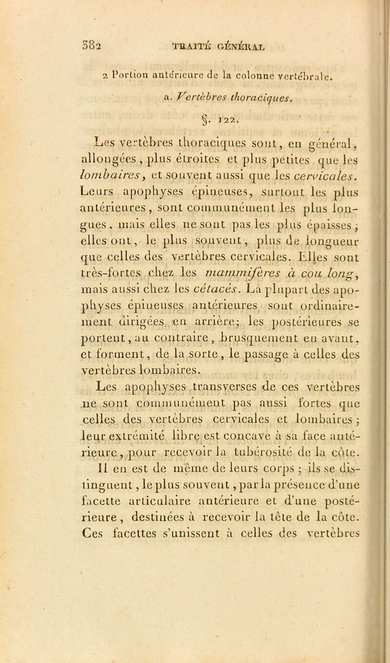 2 Portion antérieure de la colonne vertébrale, a. Vertèbres thoraciques. §. 122. Les vertèbres thoraciques sont, en général, allongées , plus étroites et plus petites que les lombairest et souvent aussi que les cervicales. Leurs apophyses épineuses, surtout les plus antérieures, sont communément les plus lon- gues, mais elles ne sont pas les plus épaisses ÿ elles ont, le plus souvent, plus de longueur que celles des vertèbres cervicales. Elles sont très-fortes chez les mammifères à cou long, mais aussi chez les cétacés. La plupart des apo- physes épineuses antérieures sont ordinaire- ment dirigées en arrière* les postérieures se portent, au contraire, brusquement en avaut. et forment, de la sorte, le passage à celles des vertèbres lombaires. Les apophyses transverses de ces vertèbres ne sont communément pas aussi fortes que celles des vertèbres cervicales et lombaires ; leur extrémité libre est concave à sa face anté- rieure , pour recevoir la tubérosité delà cote. il en est de même de leurs corps • ils se dis- tinguent , le plus souvent, par la présence d’une facette articulaire antérieure et d’une posté- rieure , destinées à recevoir la tête de la côte. Ces facettes s’unissent à celles des vertèbres