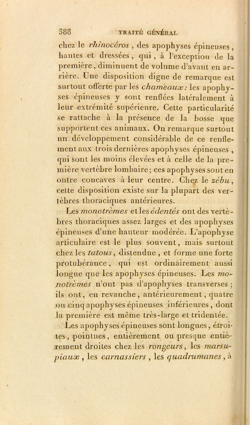 cliez le rhinocéros , des apophyses épineuses , hautes et dressées, qui , à l’exception de la première, diminuent de volume d’avant en ar- rière. Une disposition digne de remarque est surtout otïerte par les chameaux : les apophy- ses épineuses y sont renflées latéralement à leur extrémité supérieure. Cette particularité se rattache à la présence de la bosse que supportent ces animaux. On remarque surtout un développement considérable de ce renfle- ment aux trois dernières apophyses épineuses , qui sont les moins élevées et à celle de la pre- mière vertèbre lombaire; ces apophyses sont en outre concaves à leur centre. Chez le zébu, cette disposition existe sur la plupart des ver- tèbres thoraciques antérieures. Les monotrèmes elles édentés ont des vertè- bres thoraciques assez larges et des apophyses épineuses d’une hauteur modérée. L’apophyse articulaire est le plus souvent, mais surtout chez les tatous, distendue , et forme une forte protubérance, qui est ordinairement aussi longue que les apophyses épineuses. Les mo- notrèmes n’ont pas d’apophyses transverses ; ils ont, en revanche, antérieurement, quatre ou cinq apophyses épineuses inférieures, dont la première est même très-large et tridentée. Les apophyses épineuses sont longues, étroi- tes , pointues, entièrement ou presque entiè- rement droites chez les rongeurs, les înarsu- piaux , les carnassiers , les quadrumanes, à