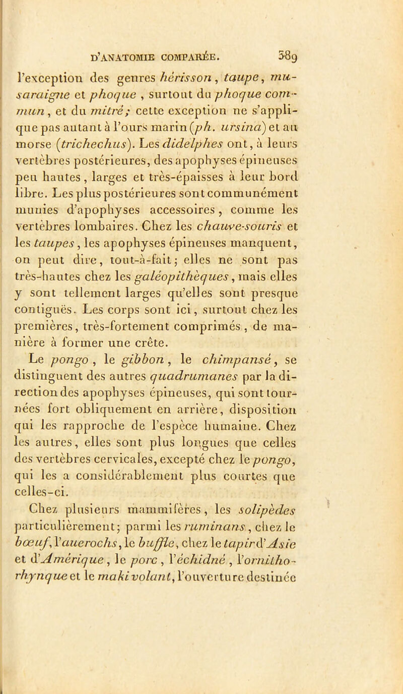 l’exception des genres hérisson, taupe, mu- saraigne et phoque , surtout du phoque com- mun , et du mitre; cette exception ne s’appli- que pas autant à l’ours marin {ph. ursina)el au morse (trichechus). Les didelphes ont, à leurs vertèbres postérieures, des apophyses épineuses peu hautes, larges et très-épaisses à leur bord libre. Les plus postérieures sont communément munies d’apophyses accessoires, comme les vertèbres lombaires. Chez les chauve-souris et les taupes, les apophyses épineuses manquent, on peut dire, tout-à-fait; elles ne sont pas très-hautes chez les galéopithèques, mais elles y sont tellement larges qu’elles sont presque contiguës. Les corps sont ici, surtout chez les premières, très-fortement comprimés , de ma- nière à former une crête. Le pongo , le gibbon, le chimpansè, se distinguent des autres quadrumanes par la di- rection des apophyses épineuses, qui sont tour- nées fort obliquement en arrière, disposition qui les rapproche de l’espèce humaine. Chez les autres, elles sont plus longues que celles des vertèbres cervicales, excepté chez le pongo, qui les a considérablement plus courtes que celles-ci. Chez plusieurs mammifères, les solipèdes particulièrement; parmi les ruminans, chez le bœuf, Yauerochs, le buffle, chez le tapir à'Asie et d’Amérique, le porc , Yéchidné , Yornitho- rhynqueet le maki volant, l’ouverture destinée