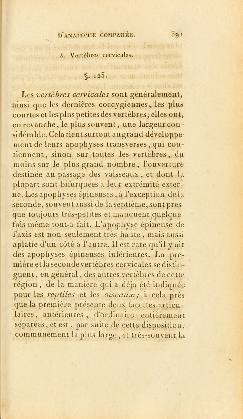 b. Vertèbres cervicales. §• 125. Les vertèbres cervicales sont généralement, ainsi que les dernières coccygiennes, les plus courtes et les plus petites des vertèbres ; elles ont, en revanche, le plus souvent, une largeur con- sidérable. Cela tient surtout au grand développe- ment de leurs apophyses transverses, qui con- tiennent, sinon sur toutes les vertèbres, du moins sur le plus grand nombre, l’ouverture destinée au passage des vaisseaux , et dont la plupart sont bifurquées à leur extrémité exter- ne. Les apophyses épineuses , à l’exception de la seconde, souvent aussi de la septième, sont pres- que toujours très-petites et manquent quelque- fois même tout-à-fait. L’apophyse épineuse de l’axis est non-seulement très haute , mais aussi aplatie d’un côté à l’autre. 11 est rare qu’il y ait des apophyses épineuses inférieures. La pre- mière et laseconde vertèbres cervicales se distin- guent, en général, des autres vertèbres de celte région , de la manière qui a déjà été indiquée pour les reptiles et les oiseaux ; à cela près que la première présente deux facettes articu - laires, antérieures, d’ordinaire entièrement séparées, et est, par suite de cette disposition, communément la plus large , et très-souvent la