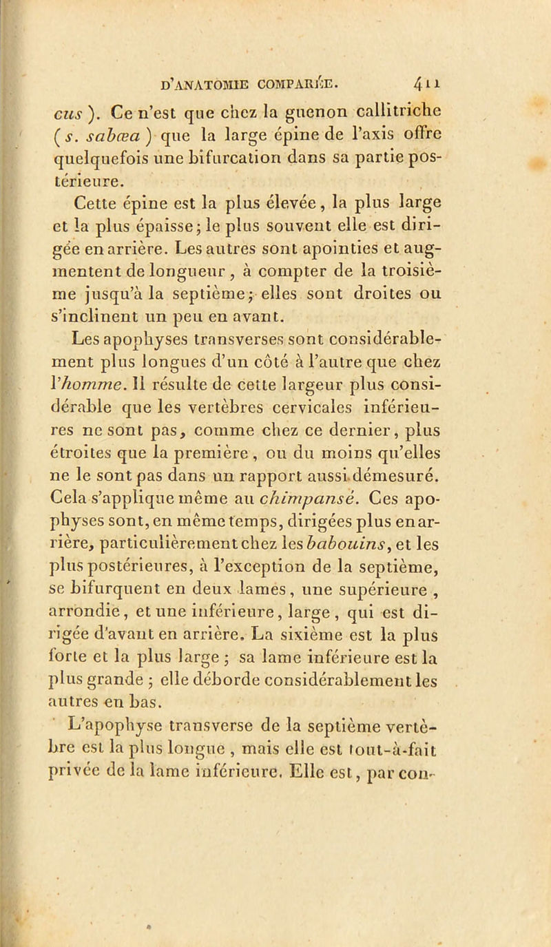 eus ). Ce n’est que chez la guenon callitriche (s. sabæa ) que la large épine de l’axis offre quelquefois une bifurcation dans sa partie pos- térieure. Cette épine est la plus élevée, la plus large et la plus épaisse; le plus souvent elle est diri- gée en arrière. Les autres sont apointies et aug- mentent de longueur , à compter de la troisiè- me jusqu’à la septième; elles sont droites ou s’inclinent un peu en avant. Les apophyses transverses sont considérable- ment plus longues d’un côté à l’autre que chez Yhomme. Il résulte de cette largeur plus consi- dérable que les vertèbres cervicales inférieu- res ne sont pas, comme chez ce dernier, plus étroites que la première , ou du moins qu’elles ne le sont pas dans un rapport aussi démesuré. Cela s’applique même au çhimpansé. Ces apo- physes sont, en même temps, dirigées plus enar- rière, particulièrement chez les babouins, et les plus postérieures, à l’exception de la septième, se bifurquent en deux lames, une supérieure , arrondie, et une inférieure, large , qui est di- rigée d'avant en arrière. La sixième est la plus forte et la plus large ; sa lame inférieure est la plus grande ; elle déborde considérablement les autres en bas. L’apophyse transverse de la septième vertè- bre est la plus longue , mais elle est tout-à-fait privée de la lame inférieure. Elle est, parcon-