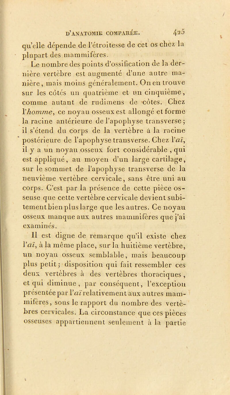 qu’elle dépende de l’étroitesse de cet os chez la plupart des mammifères. Le nombre des points d’ossification de la der- nière vertèbre est augmenté d’une autre ma- nière, mais moins généralement. On en trouve sur les côtés un quatrième et un cinquième, comme autant, de rudimens de côtes. Chez l'homme, ce noyau osseux est allongé et forme la racine antérieure de l’apophyse transverse ; il s’étend du corps de la vertèbre à la racine postérieure de l’apophyse trans verse. Chez l’ai’, il y a un noyau osseux fort considérable , qui est appliqué, au moyen d’un large cartilage, sur le sommet de l’apophyse transverse de la neuvième vertèbre cervicale, sans être uni au corps. C’est par la présence de cette pièce os- seuse que cette vertèbre cervicale devient subi- tement bien plus large que les autres. Ce noyau osseux manque aux autres mammifères que j’ai examinés. 11 est digne de remarque qu’il existe chez l’aï, à la même place, sur la huitième vertèbre, un noyau osseux semblable, mais beaucoup plus petit ; disposition qui fait ressembler ces deux vertèbres à des vertèbres thoraciques , et qui diminue, par conséquent, l’exception présentée par l’aï relativement aux autres mam- mifères, sous le rapport du nombre des vertè- bres cervicales. La circonstance que ces pièces osseuses appartiennent seulement à la partie