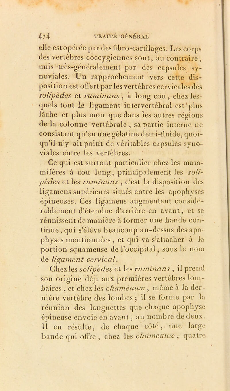 elle est opérée par des fibro-cartllages. Les corps des vertèbres coccygiennes sont, au contraire, unis très-généralement par des capsules sy- noviales. Un rapprochement, vers cette dis- position est offert par les vertèbres cervicales des solipedes et ruminans , à long cou , eliez les- quels tout le ligament intervertébral est*plus lâche et plus mou que dans les autres régions de la colonne vertébrale , sa partie interne ne consistant qu’en une gélatine demi-fluide, quoi- qu’il n’y ail point de véritables capsules syno- viales entre les vertèbres. Ce qui est surtout particulier chez les mam- mifères à cou long, principalement les so/i- pècïes et les ruminans , c’est la disposition des ligamens supérieurs situés entre les apophyses épineuses. Ces ligamens augmentent considé- rablement d’étendue d’arrière en avant, et se réunissent de manière à former une bande con- tinue, qui s’élève beaucoup au-dessus des apo- physes mentionnées , et qui va s’attacher à la portion squameuse de l’occipital, sous le nom de ligament cervical. Chez les solipedes et les ruminans , il prend son origine déjà aux premières vertèbres lom- baires , et chez les chameaux , même à la der- nière vertèbre des lombes ; il se forme par la réunion des languettes que chaque apophyse épineuse envoie en avant, au nombre de deux. U en résulte, de chaque côté, une large bande qui offre , chez les chameaux , quatre