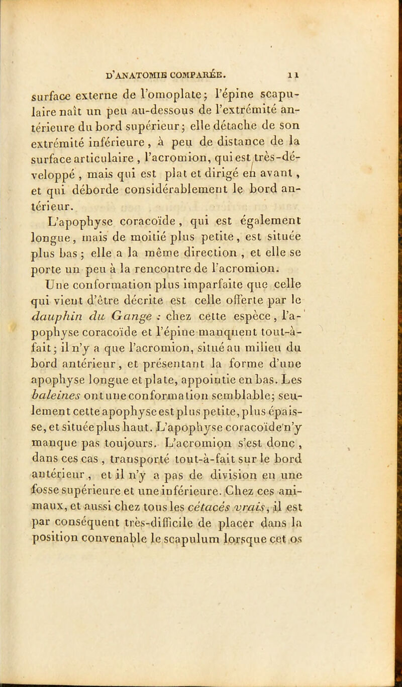 surface externe de l’onioplate j l’épine scapu- laire naît un peu au-dessous de l’extrémité an- térieure du bord supérieur; elle détache de son extrémité inférieure, à peu de distance de la surface articulaire , l’acromion, qui est très-dé- veloppé , mais qui est plat et dirigé eh avant, et qui déborde considérablement le bord an- térieur. L’apophyse coracoïde , qui est également longue, mais de moitié plus petite, est située plus bas ; elle a la mêm.e direction , et elle se porte un peu à la rencontre de l’acromlon. Uiîe conformation plus imparfaite que celle qui vient d’être décrite est celle offerte par le dauphin du Gange : chez cette espèce, l’a- pophyse coracoïde et l’épine manquent tout-à- fait; il n’y a que l’acromion, situé au milieu du bord antérieur, et présentant la forme d’une apophyse longue et plate, appointie en bas. Les haleines ontuneconformation semblable; seu- lement cette apophyse est plus petite, plus épais- se, et située plus haut. L’apophyse coracoïde'n’y manque pas toujours. L’acromion s’est donc , dans ces cas , transporté tout-à-fait sur le bord antérieur , et il n’y a pas de division en une fosse supérieure et une inférieure. Chez ces ani- maux, et aussi chez tous les cétacés vrais^ il est par conséquent très-difficile de placer dans la position convenable le scapnlum lorsque cet os