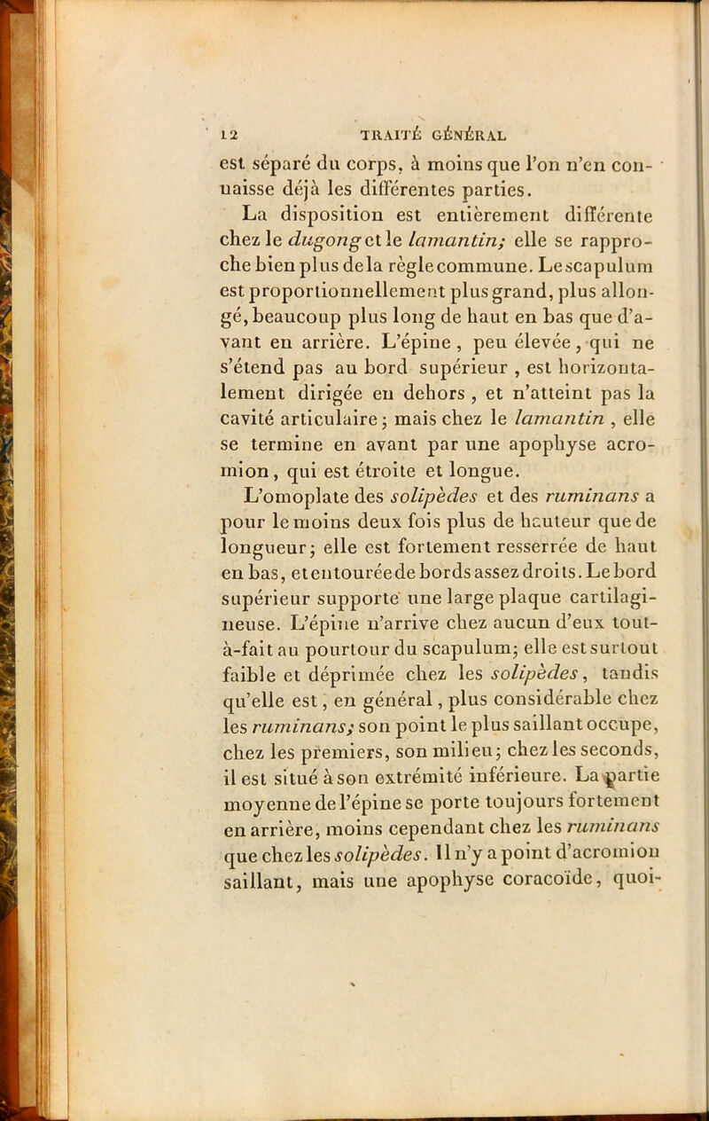 est séparé du corps, à moins que l’on n’en con- naisse déjà les différentes parties. La disposition est entièrement différente chez le dugong(^\.\e lamantin; elle se rappro- che bien plus delà règlecommune. Lescapulum est proportionnellement plus grand, plus allon- gé, beaucoup plus long de haut en bas que d’a- vant en arrière. L’épine, peu élevée, qui ne s’étend pas au bord supérieur , est horizonta- lement dirigée eu dehors , et n’atteint pas la cavité articulaire -, mais chez le lamantin , elle se termine en avant par une apophyse acro- mion , qui est étroite et longue. L’omoplate des solipèdes et des ruminans a pour le moins deux fois plus de hauteur que de longueur^ elle est fortement resserrée de haut en bas, etentouréede bords assez droits. Le bord supérieur supporte une large plaque cartilagi- neuse. L’épine n’arrive chez aucun d’eux tout- à-fait au pourtour du scapulum; elle estsurtout faible et déprimée chez \es solipèdes ^ tandis qu’elle est, en général, plus considérable chez les ruminans; son point le plus saillant occupe, chez les premiers, son milieuj chez les seconds, il est situé à son extrémité inférieure. La partie moyenne de l’épine se porte toujours fortement en arrière, moins cependant chez les ruminans que chez les solipèdes. H n’y a point d’acromiou saillant, mais une apophyse coracoïde, quoi-